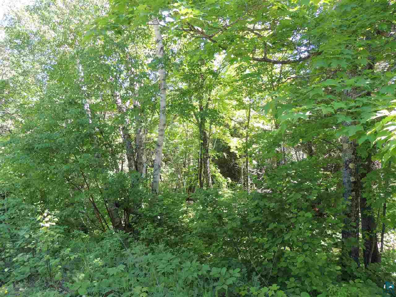 X30 Isak Ridge Rd Lutsen MN 55612 6123830 image5