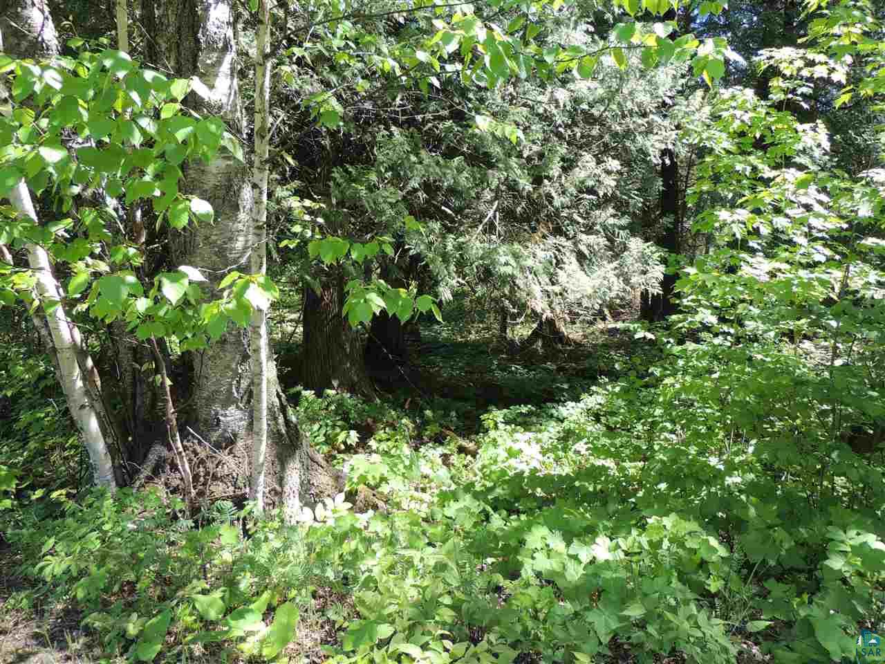 X30 Isak Ridge Rd Lutsen MN 55612 6123830 image7