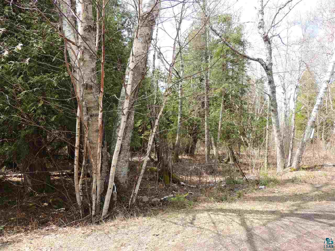 X30 Isak Ridge Rd Lutsen MN 55612 6123830 image8