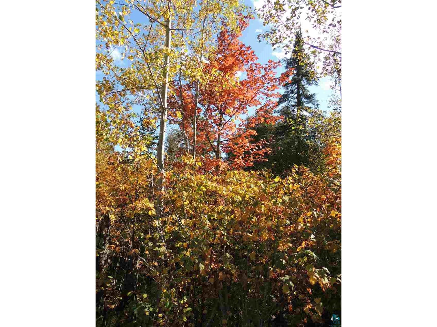 X30 Isak Ridge Rd Lutsen MN 55612 6123830 image9