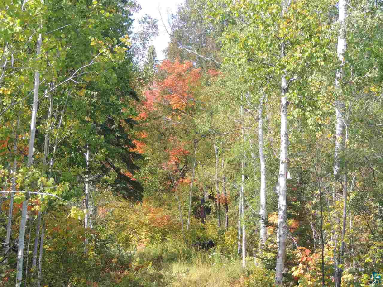 X31 Isak Ridge Rd Lutsen MN 55612 6101590 image1
