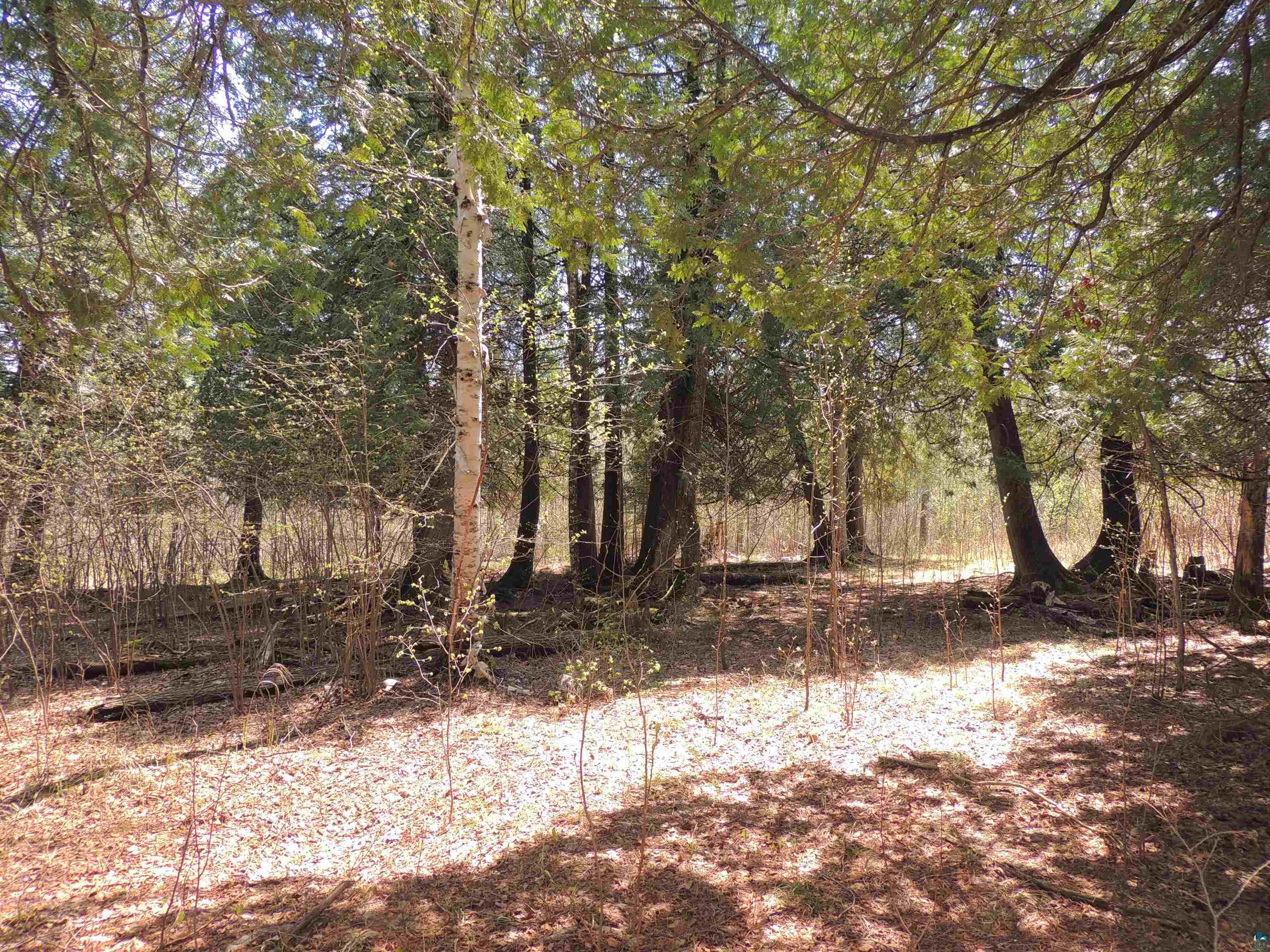 X31 Isak Ridge Rd Lutsen MN 55612 6119391 image1