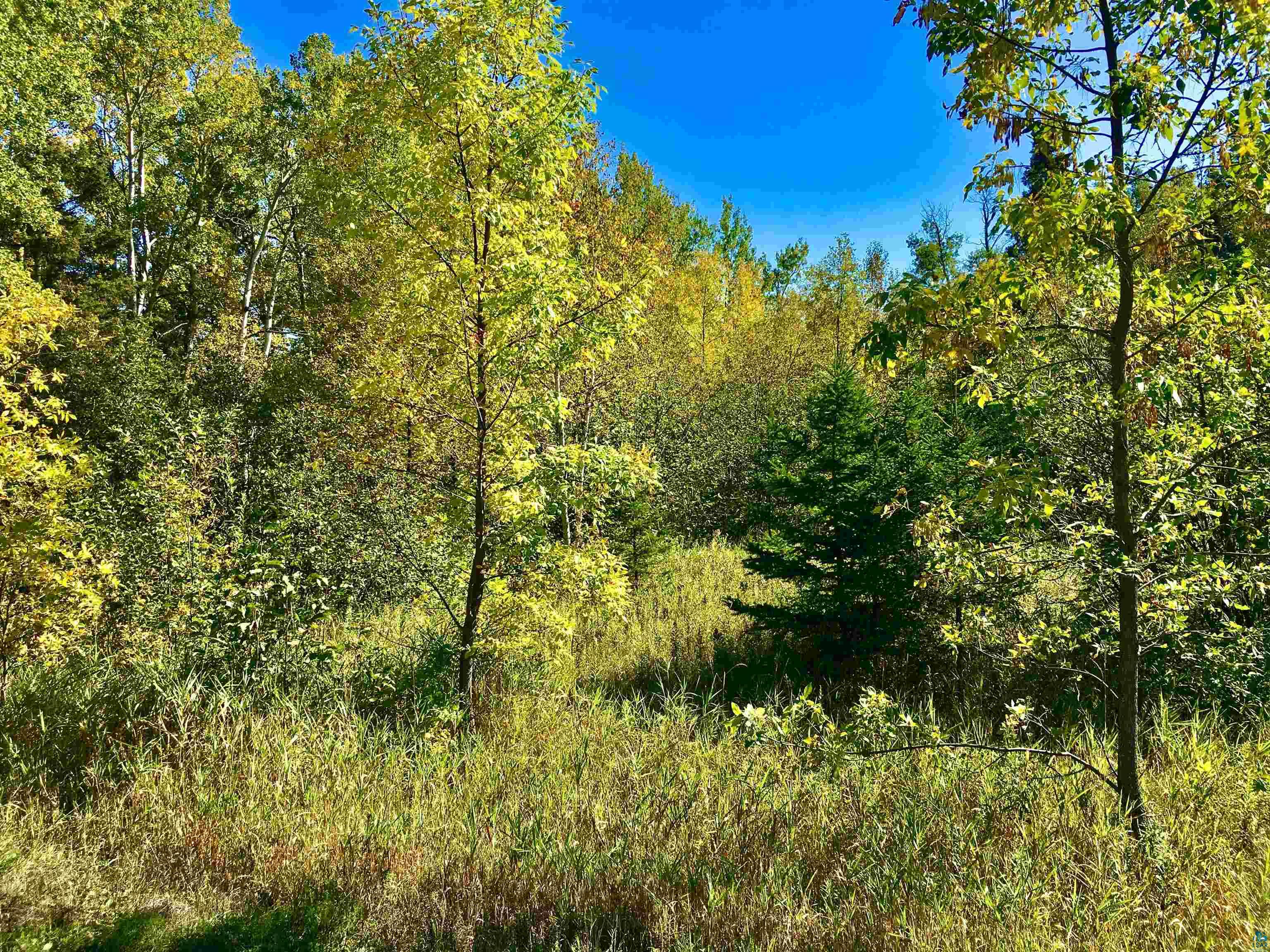 X36 Isak Ridge Rd Lutsen MN 55612 6116419 image1