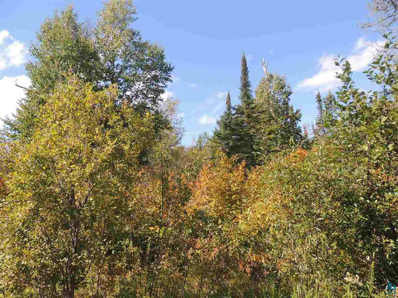 X43 Hansen-Hjemsted Rd Lutsen MN 55612 6101593 image1