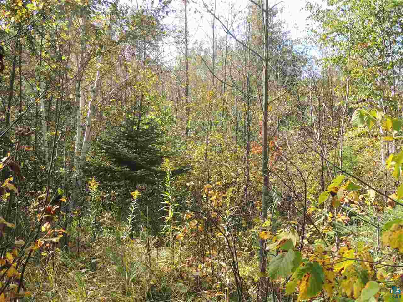 X43 Hansen-Hjemsted Rd Lutsen MN 55612 6112448 image1