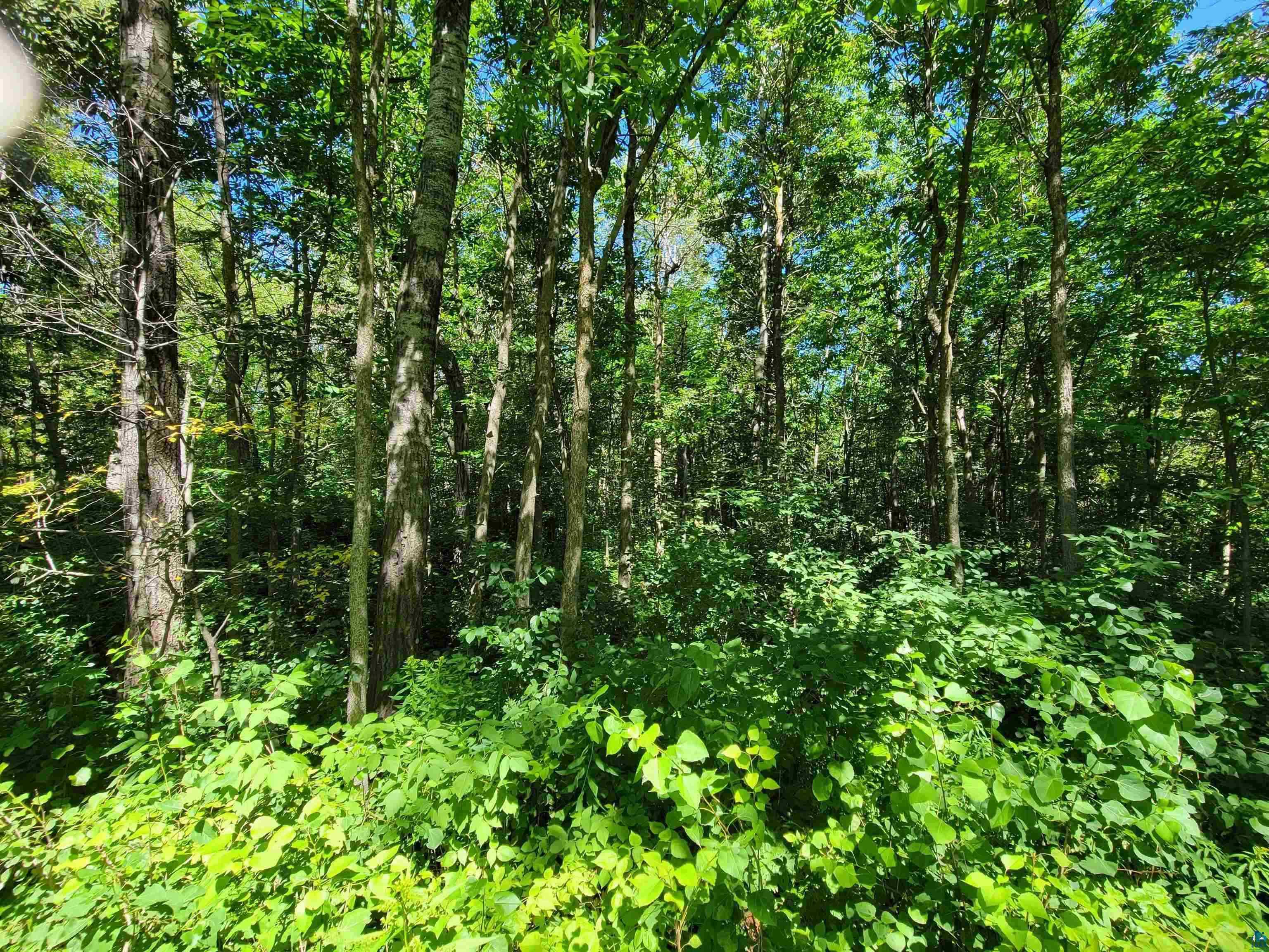 XX 9th St Proctor MN 55810 6110121 image1