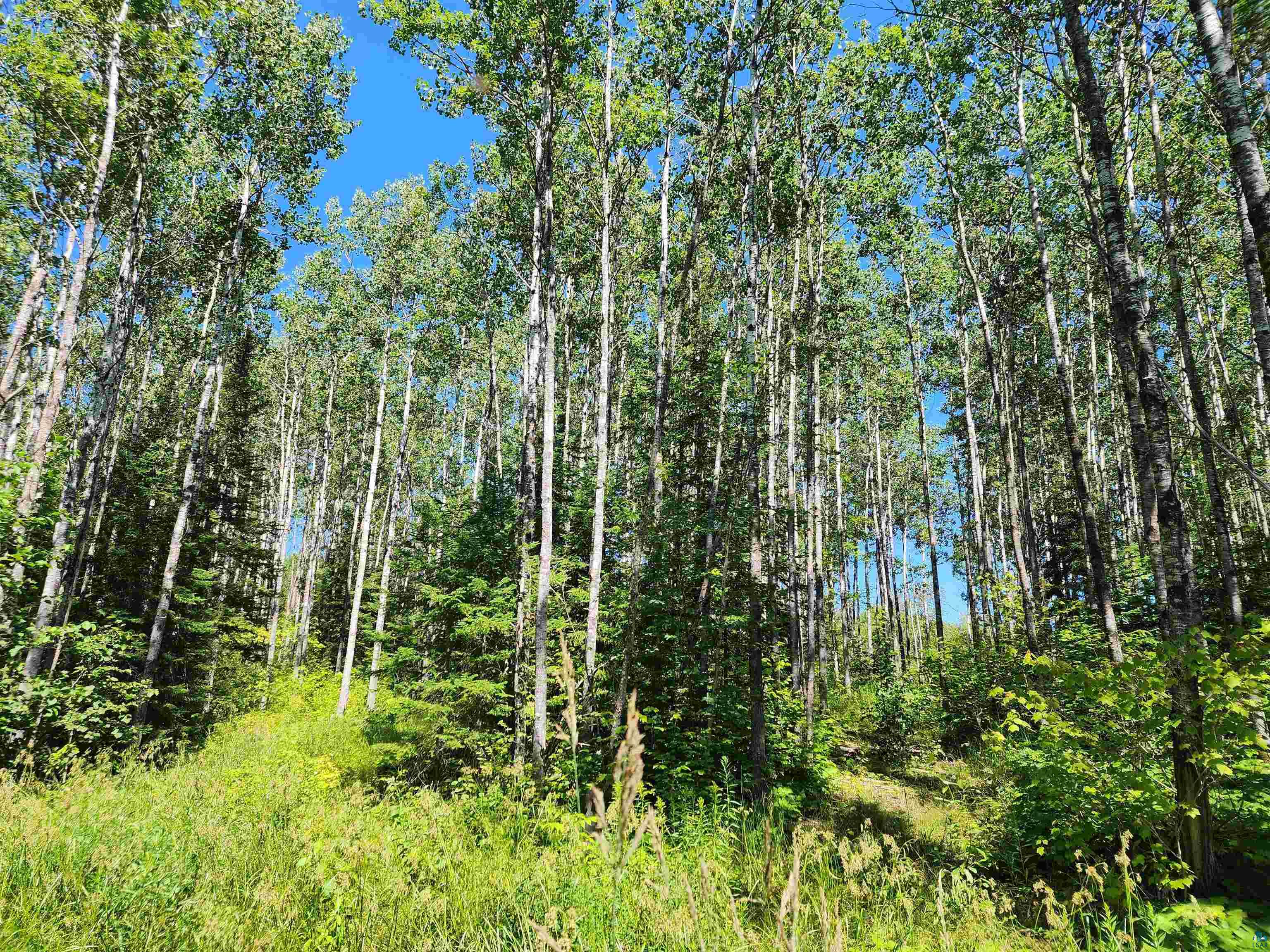 XX Black Granite Tr Hovland MN 55606 6124732 image8