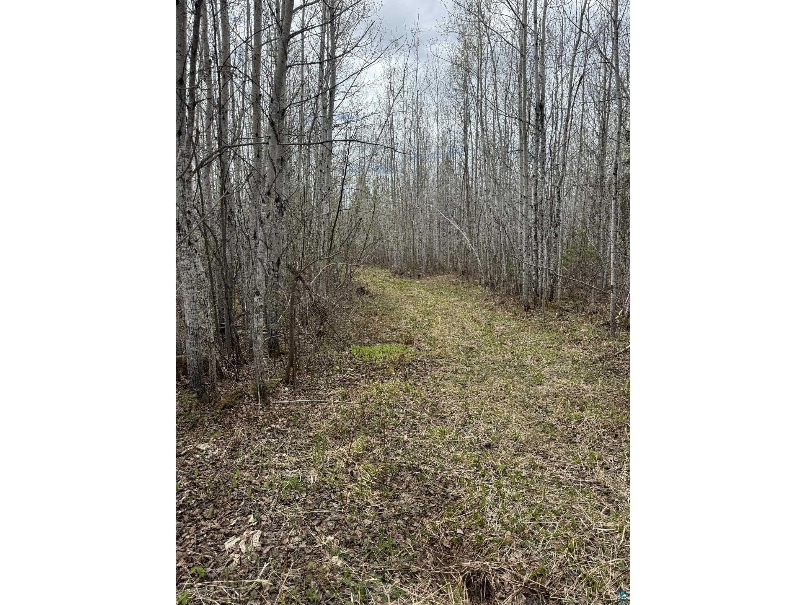 XX Blueberry Hill Rd Two Harbors MN 55616 6125488 image29