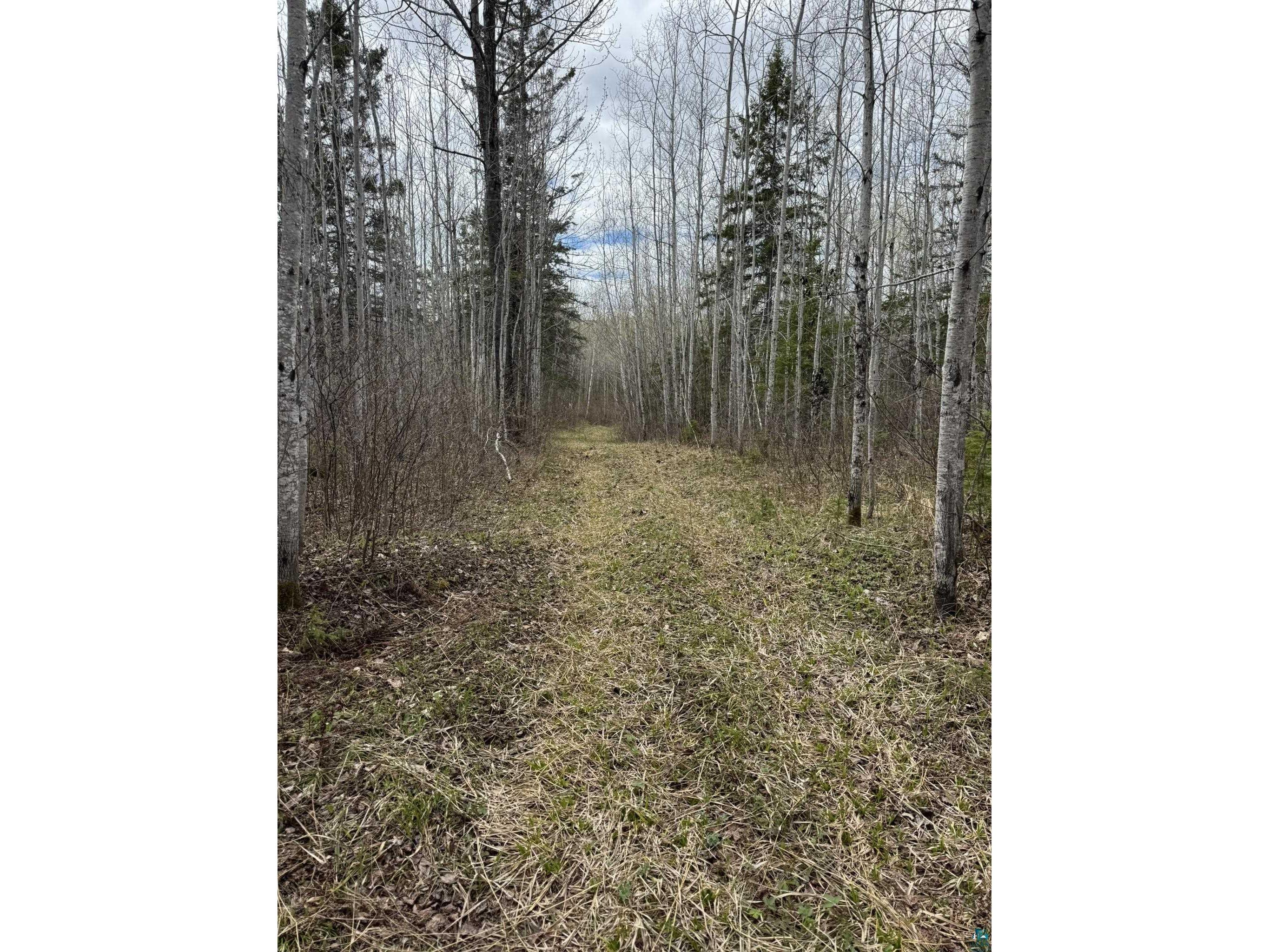 XX Blueberry Hill Rd Two Harbors MN 55616 6125488 image32
