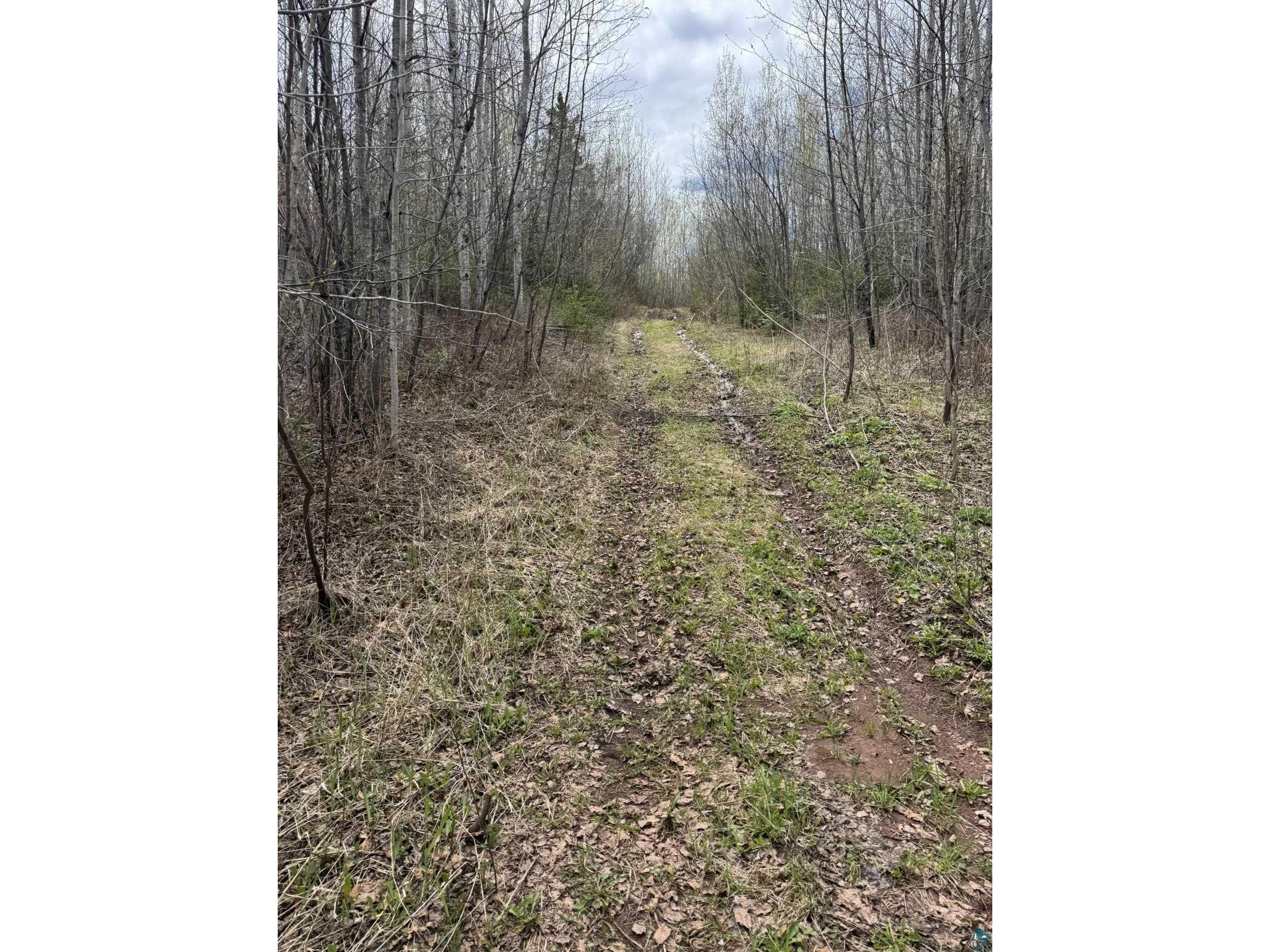 XX Blueberry Hill Rd Two Harbors MN 55616 6125488 image33