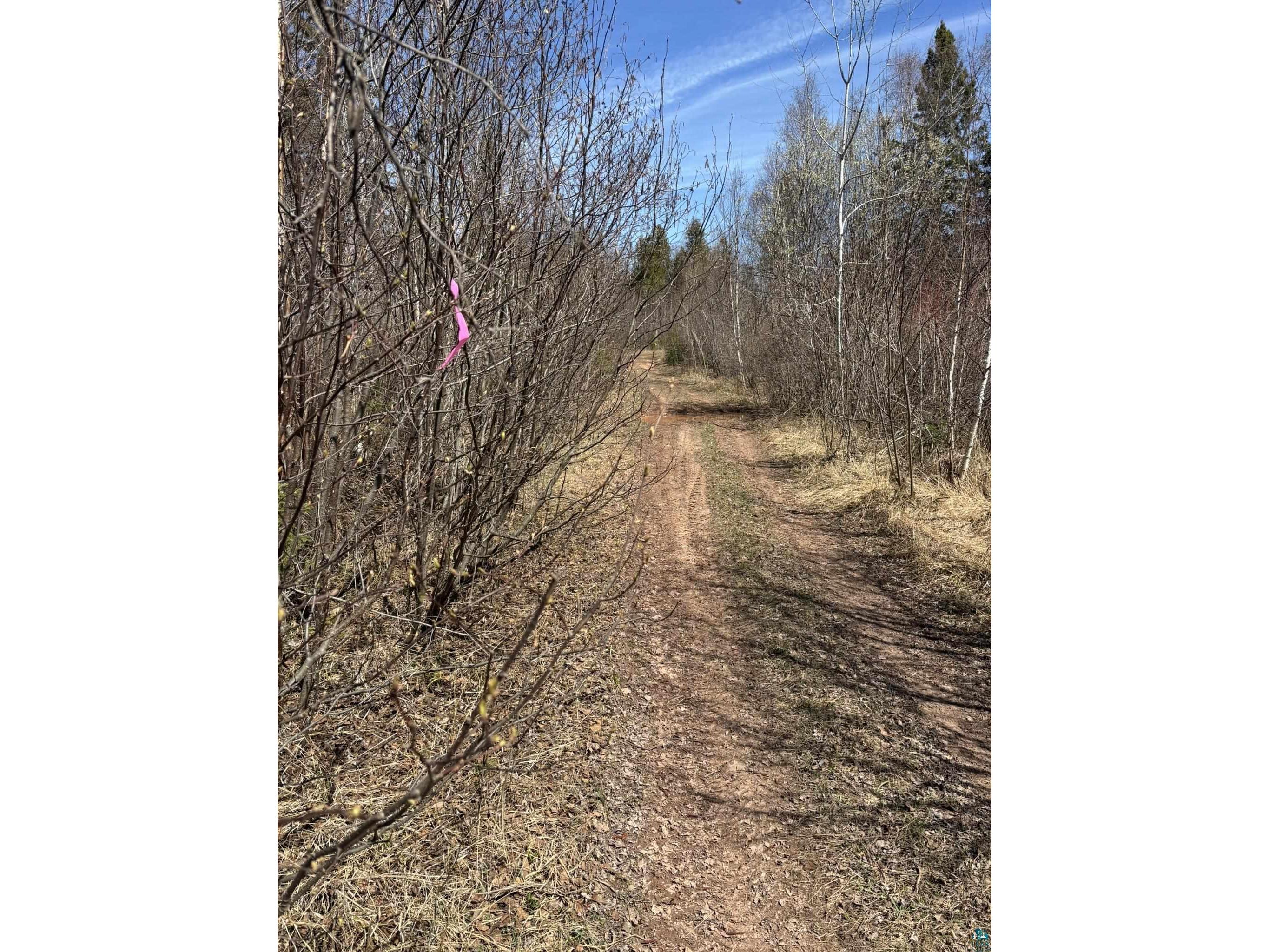 XX Blueberry Hill Rd Two Harbors MN 55616 6125488 image36