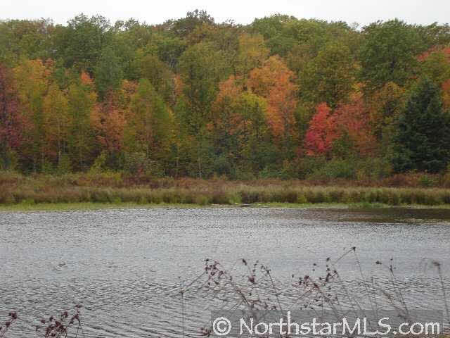 XX Duncan Road MN 55072 - Keene Creek 1838614 image2