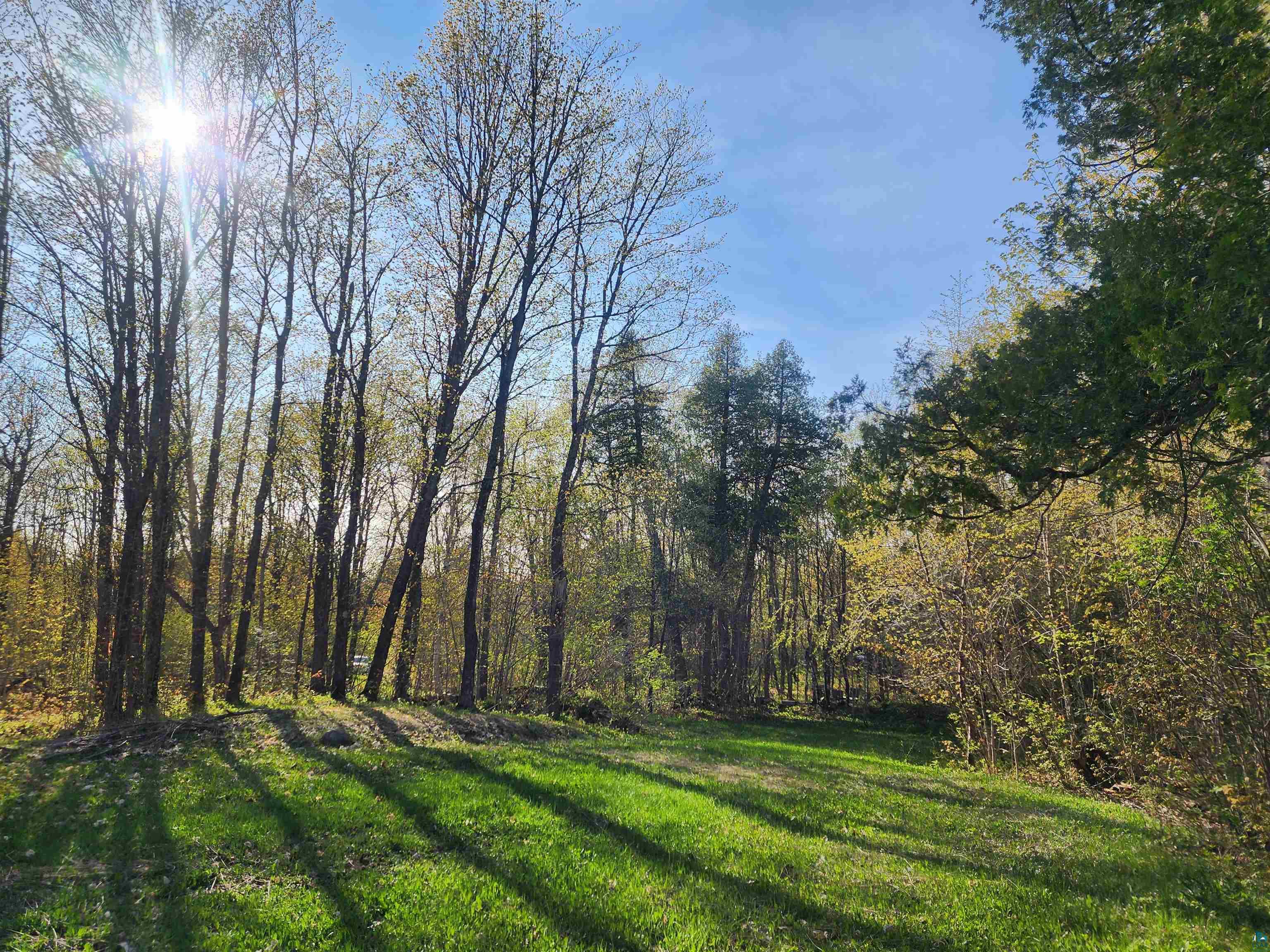 XX Foothill Blvd Lutsen MN 55612 6109511 image1