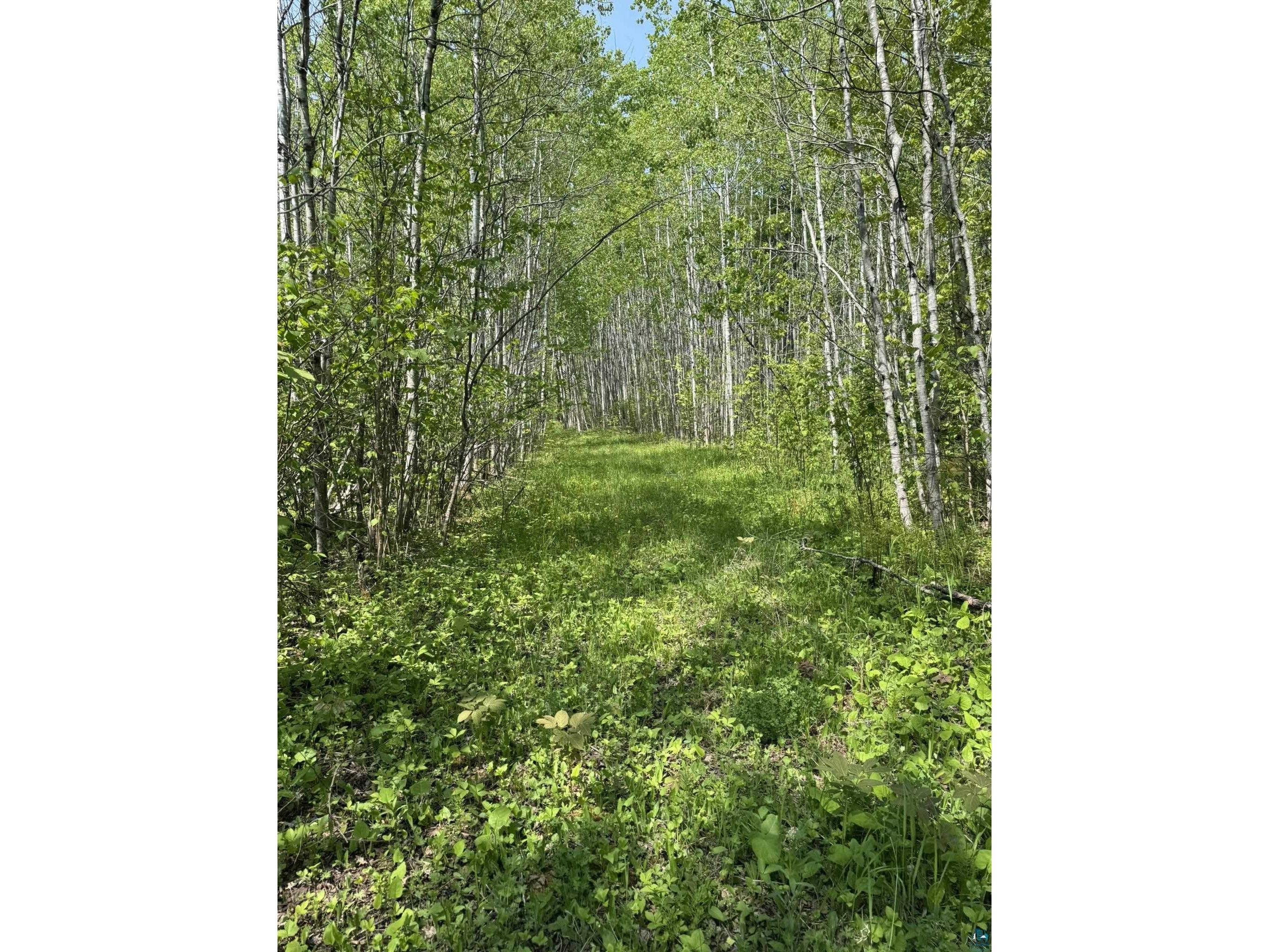 XX Fors Rd Two Harbors MN 55616 6119810 image1