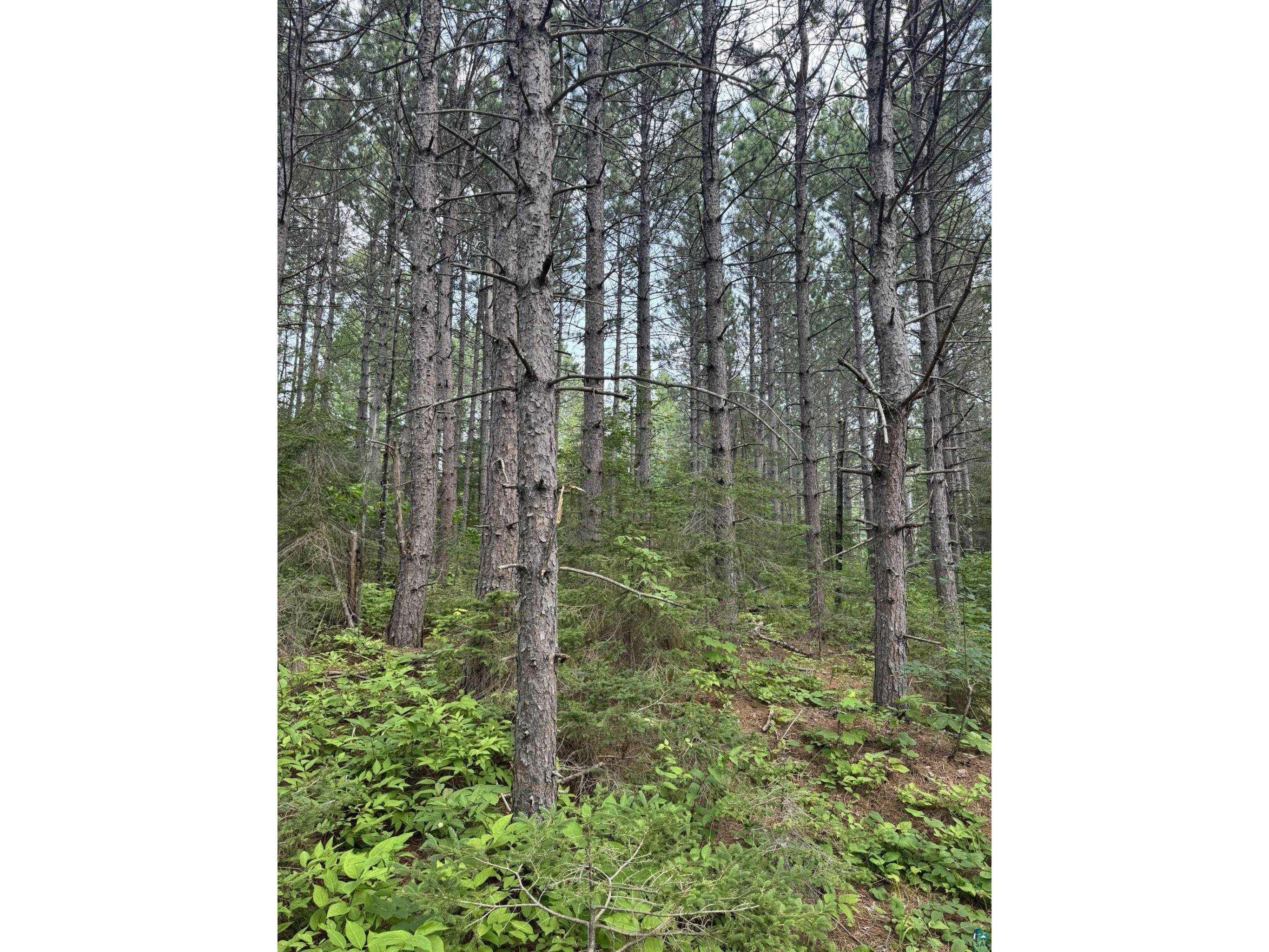 XX High Ridge Dr Schroeder MN 55614 6125498 image1