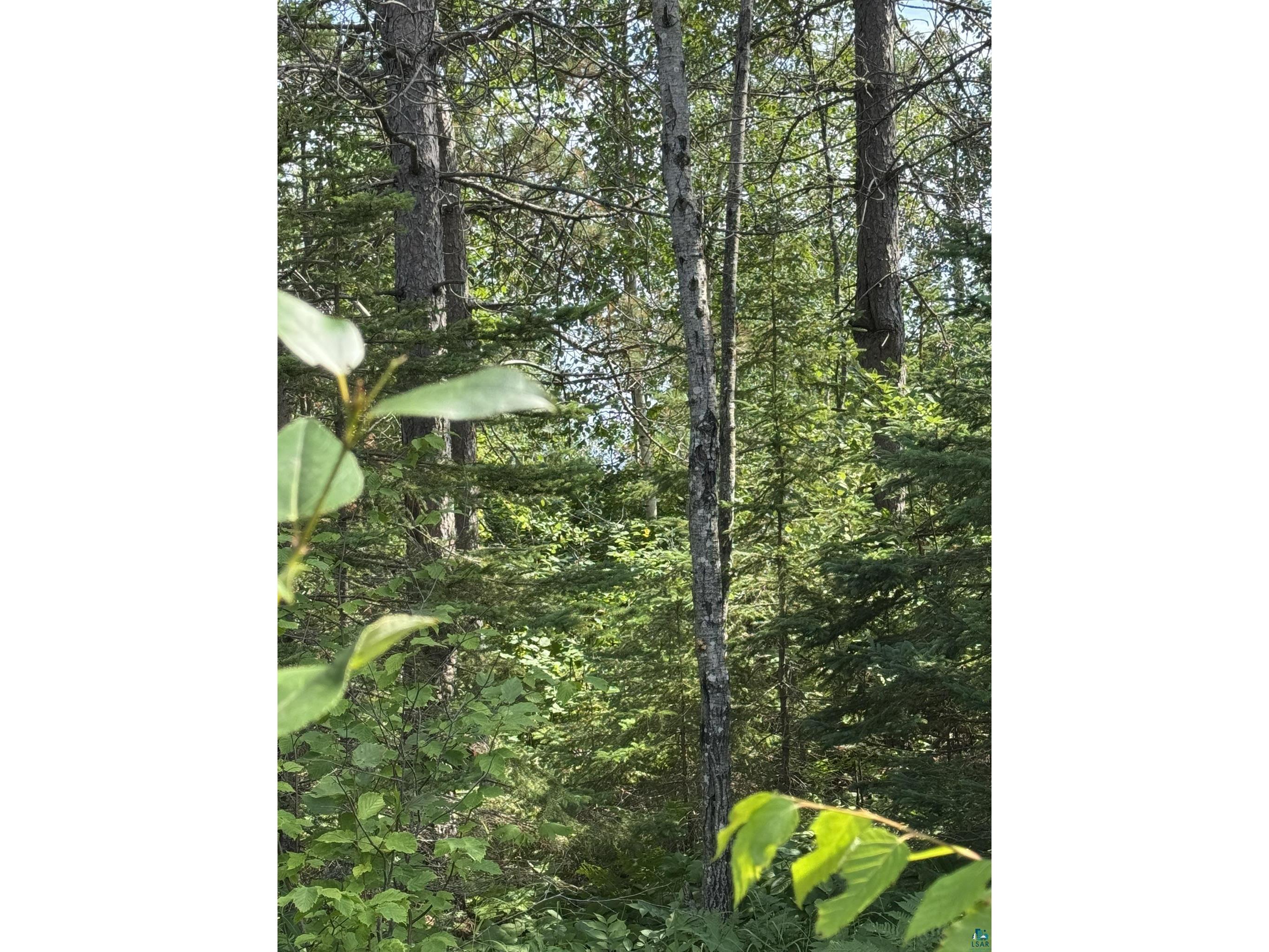 XX High Ridge Dr Schroeder MN 55614 6125498 image10