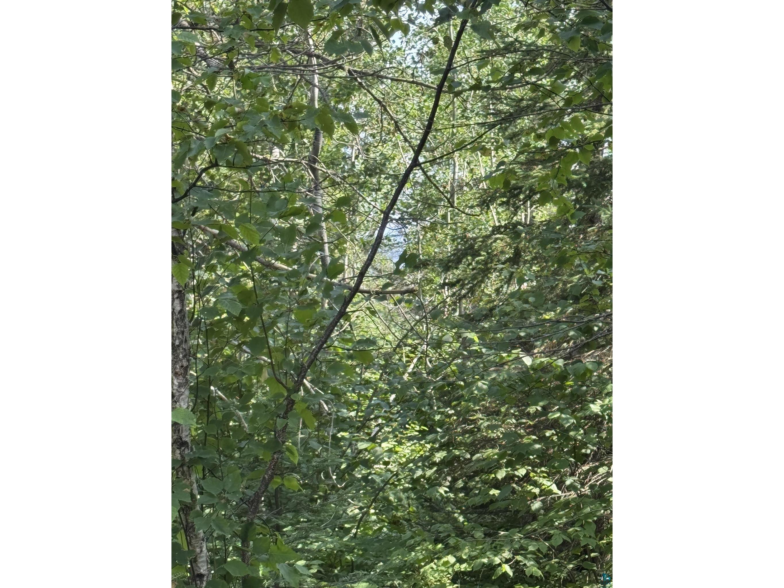 XX High Ridge Dr Schroeder MN 55614 6125498 image11