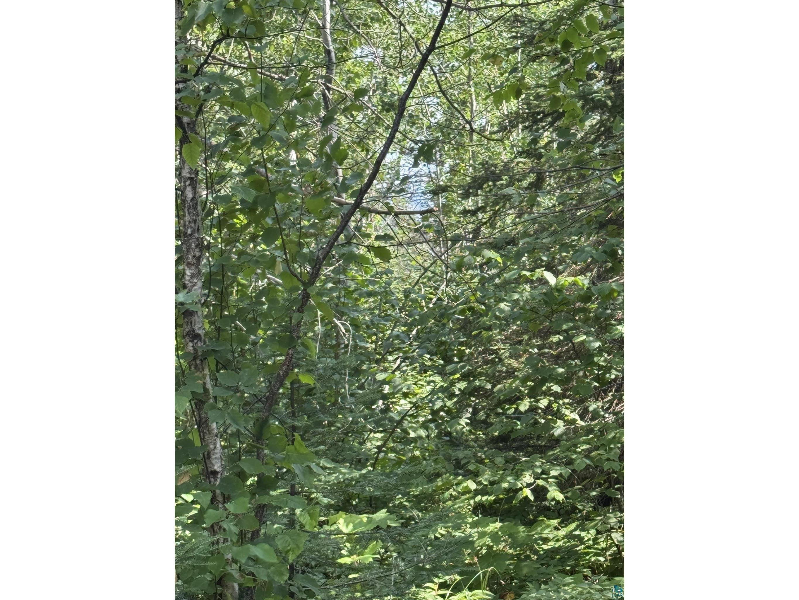 XX High Ridge Dr Schroeder MN 55614 6125498 image12