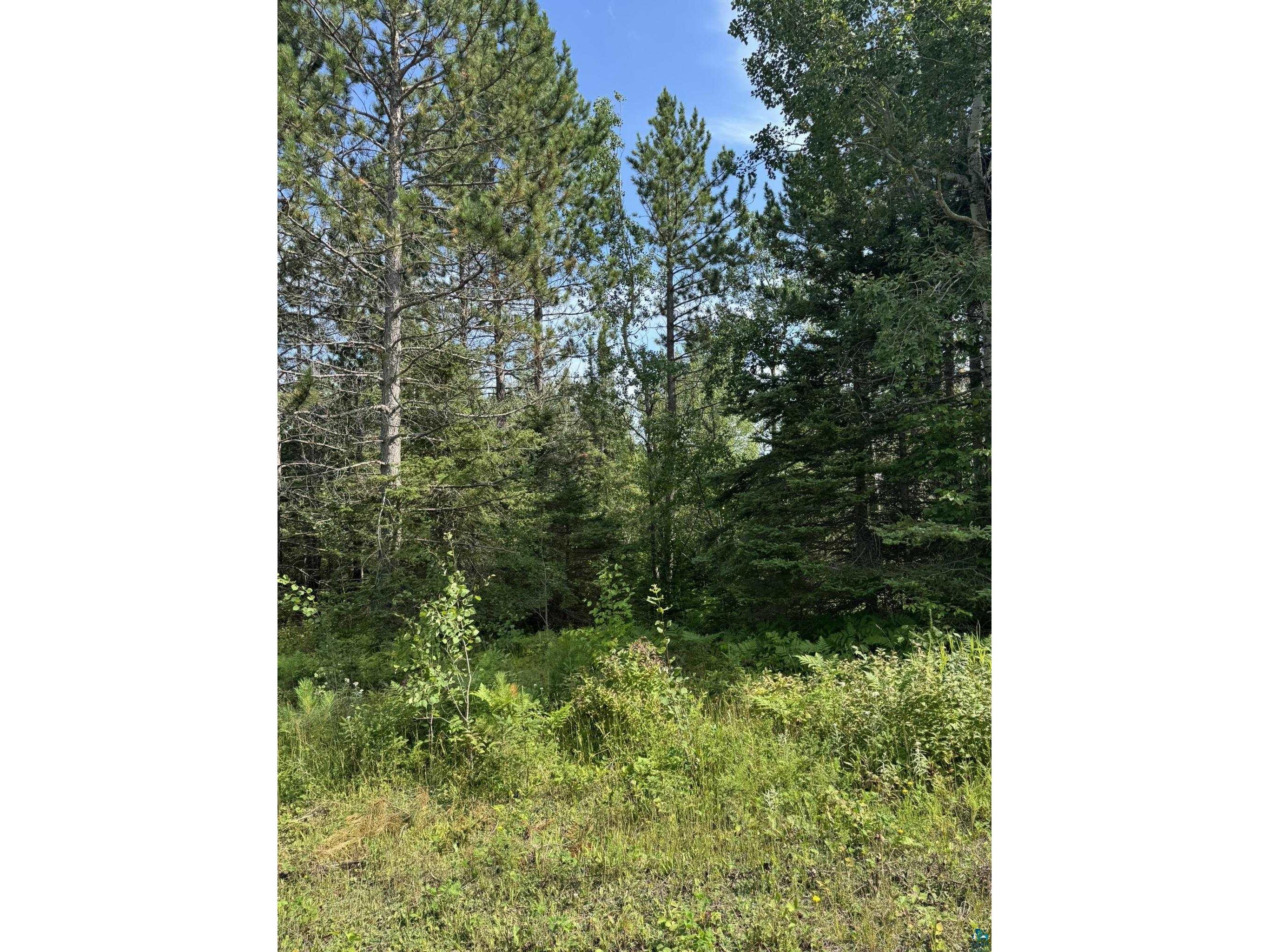 XX High Ridge Dr Schroeder MN 55614 6125498 image13