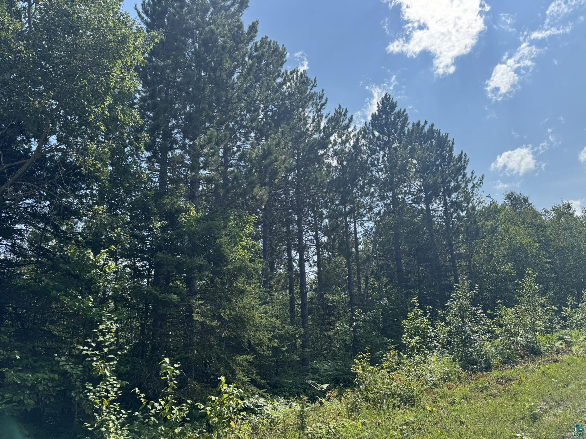 XX High Ridge Dr Schroeder MN 55614 6125498 image15