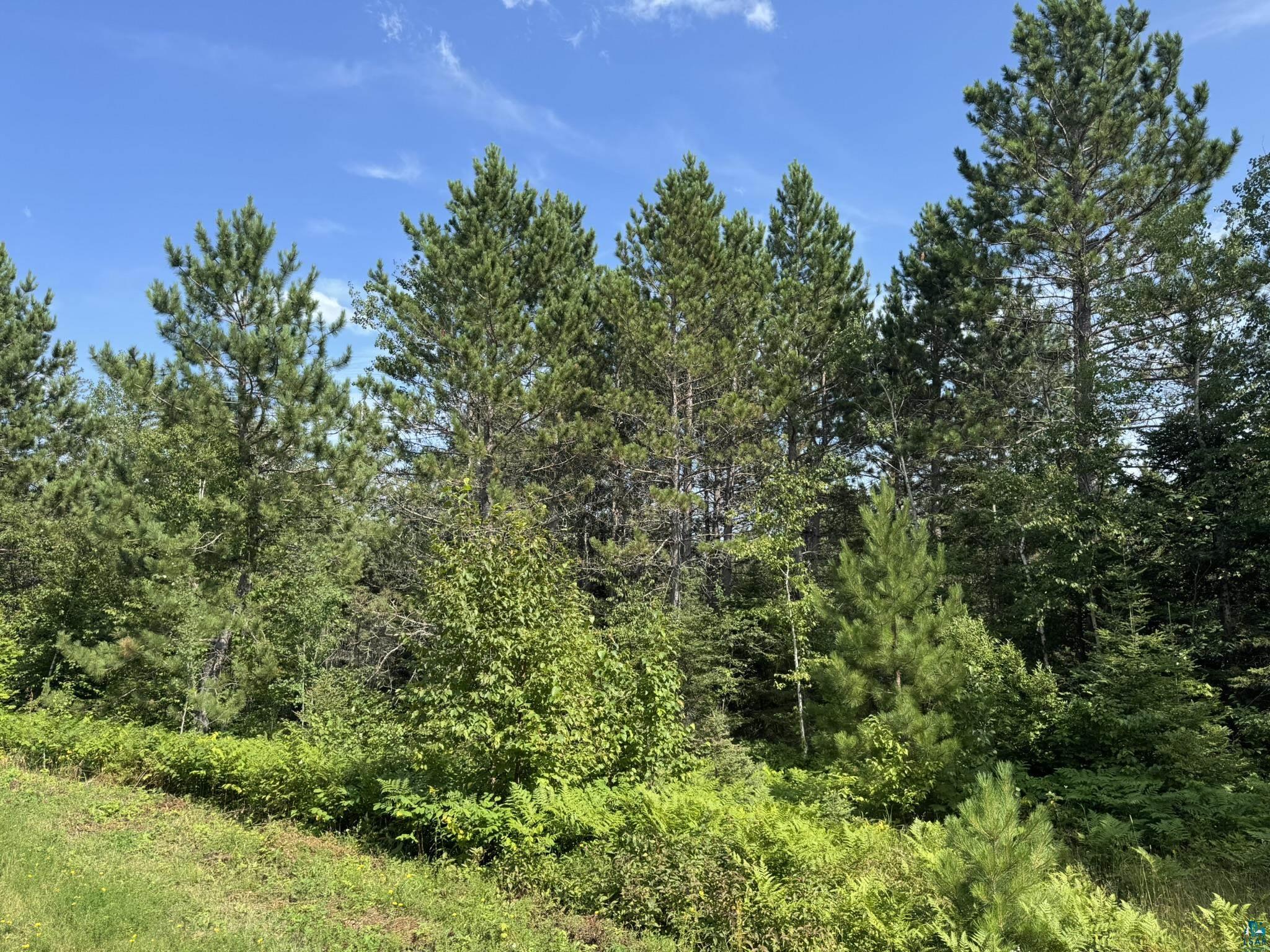 XX High Ridge Dr Schroeder MN 55614 6125498 image17