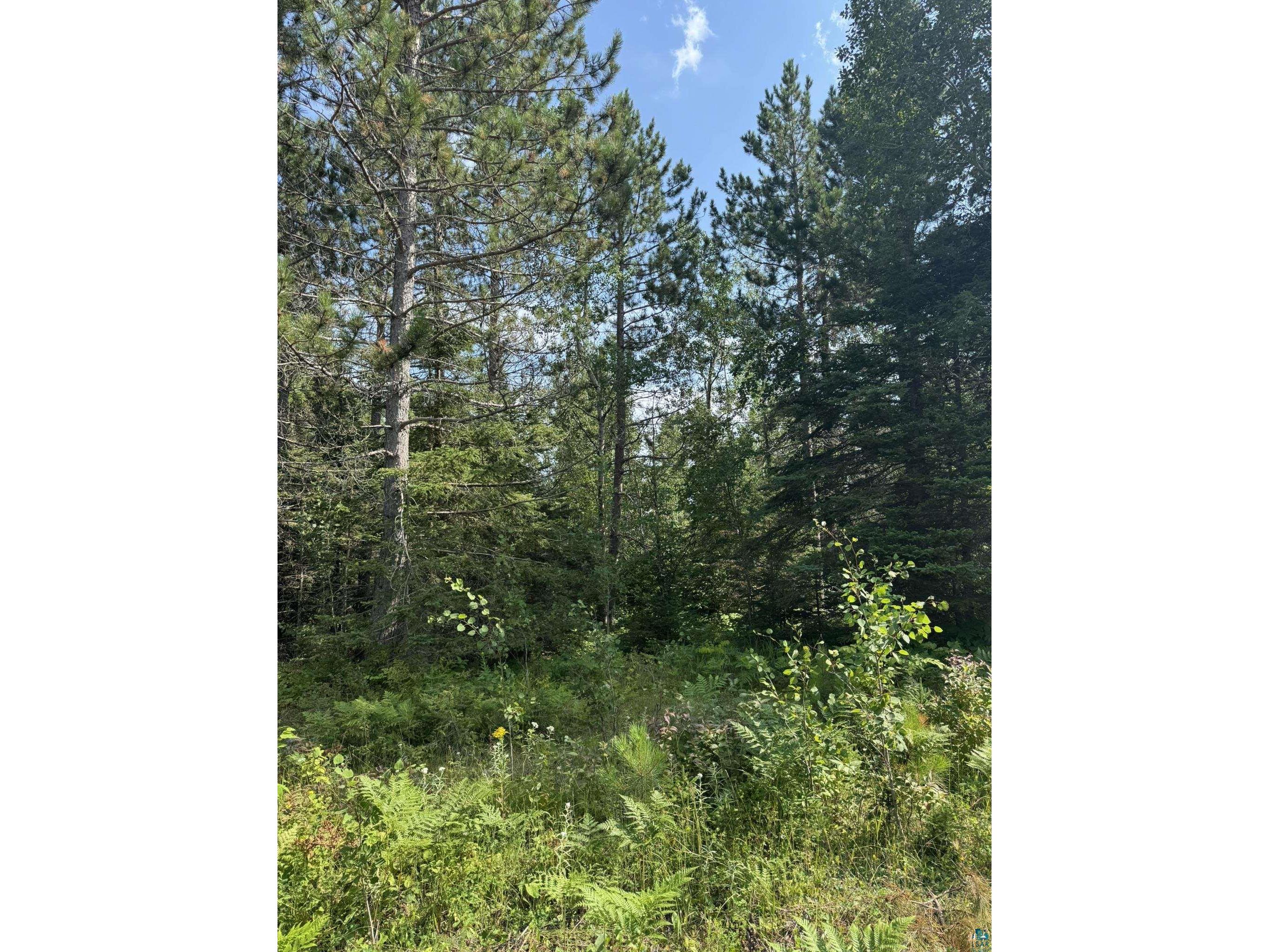 XX High Ridge Dr Schroeder MN 55614 6125498 image19