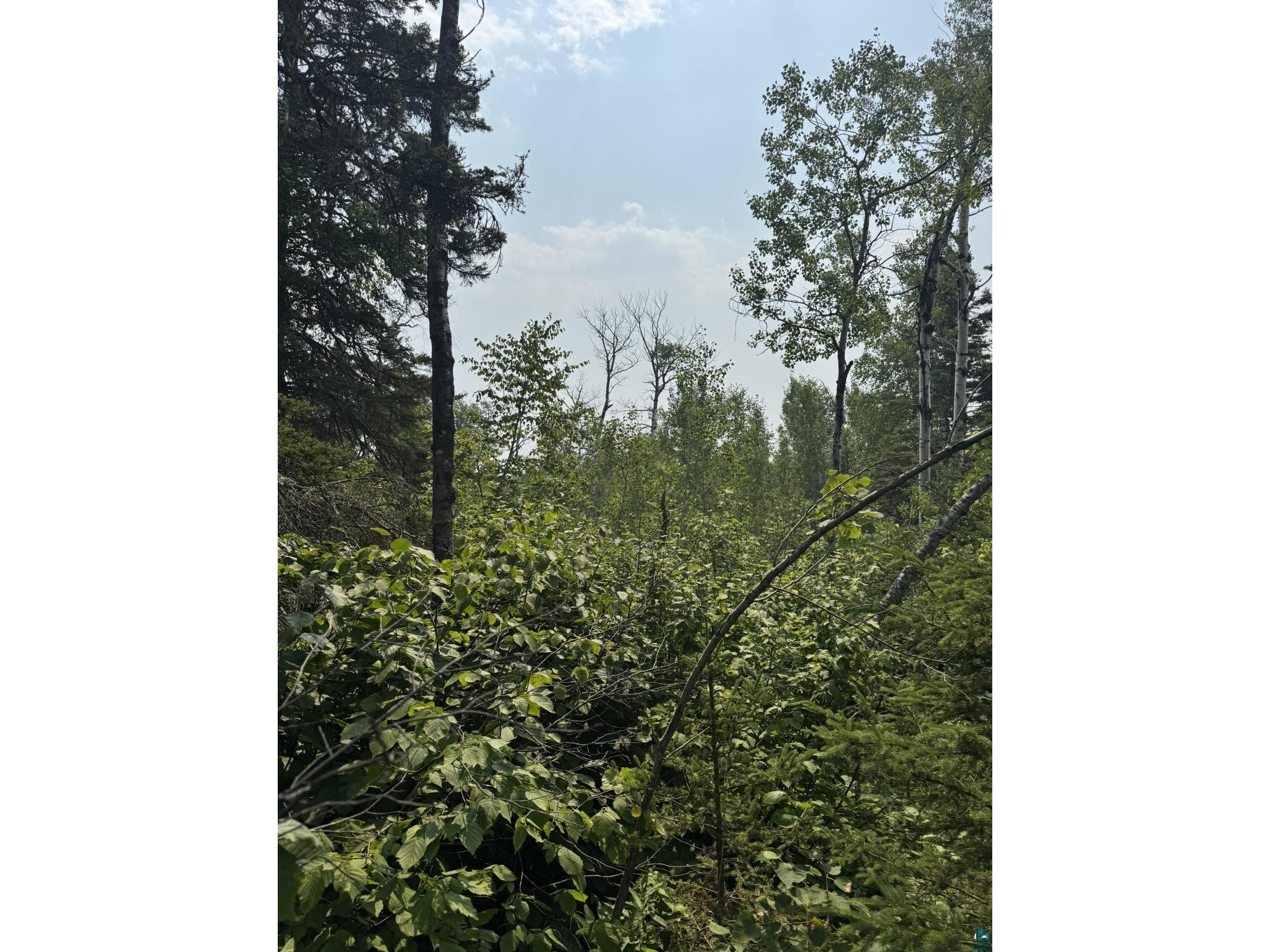 XX High Ridge Dr Schroeder MN 55614 6125498 image2