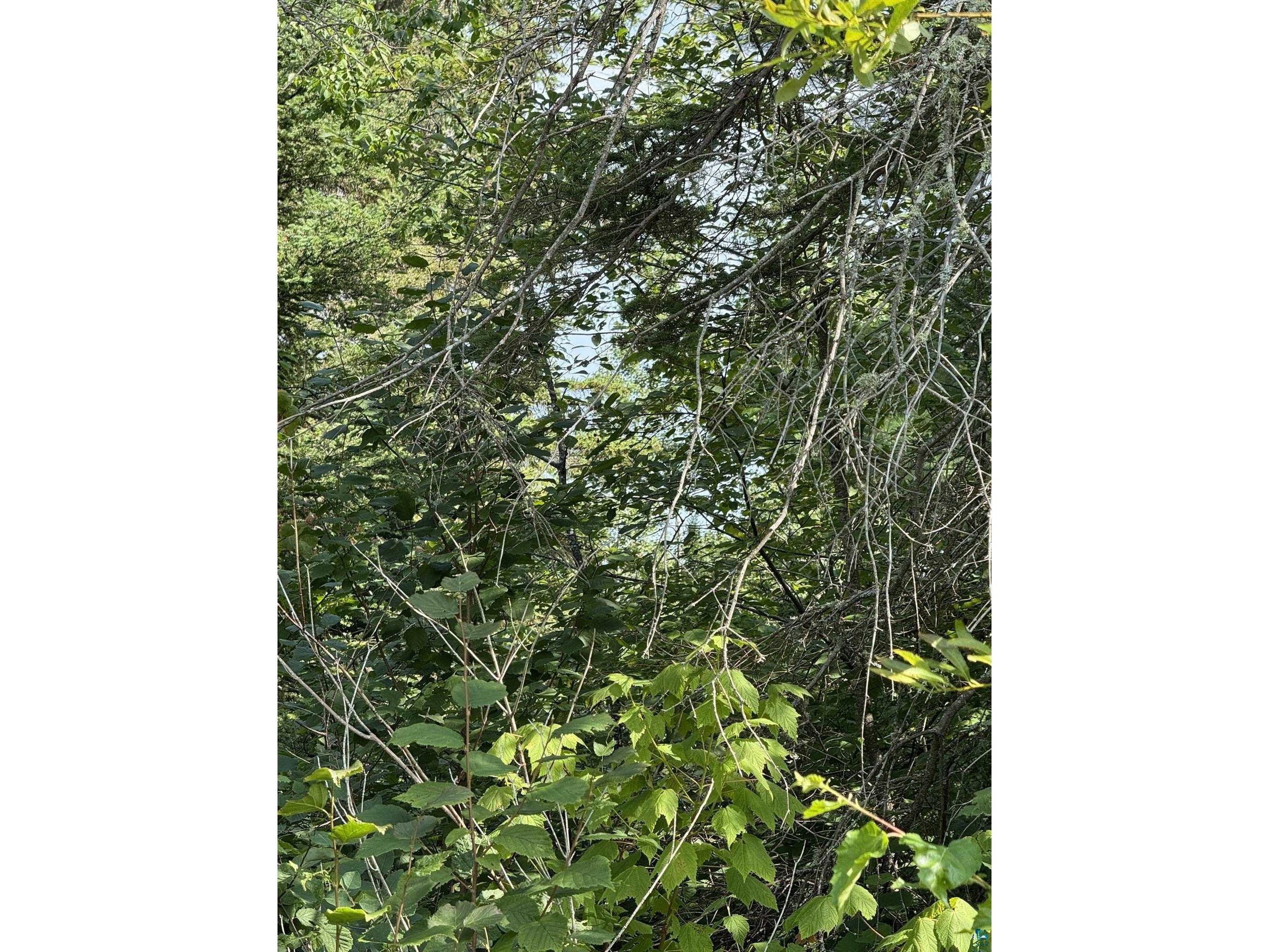 XX High Ridge Dr Schroeder MN 55614 6125498 image20