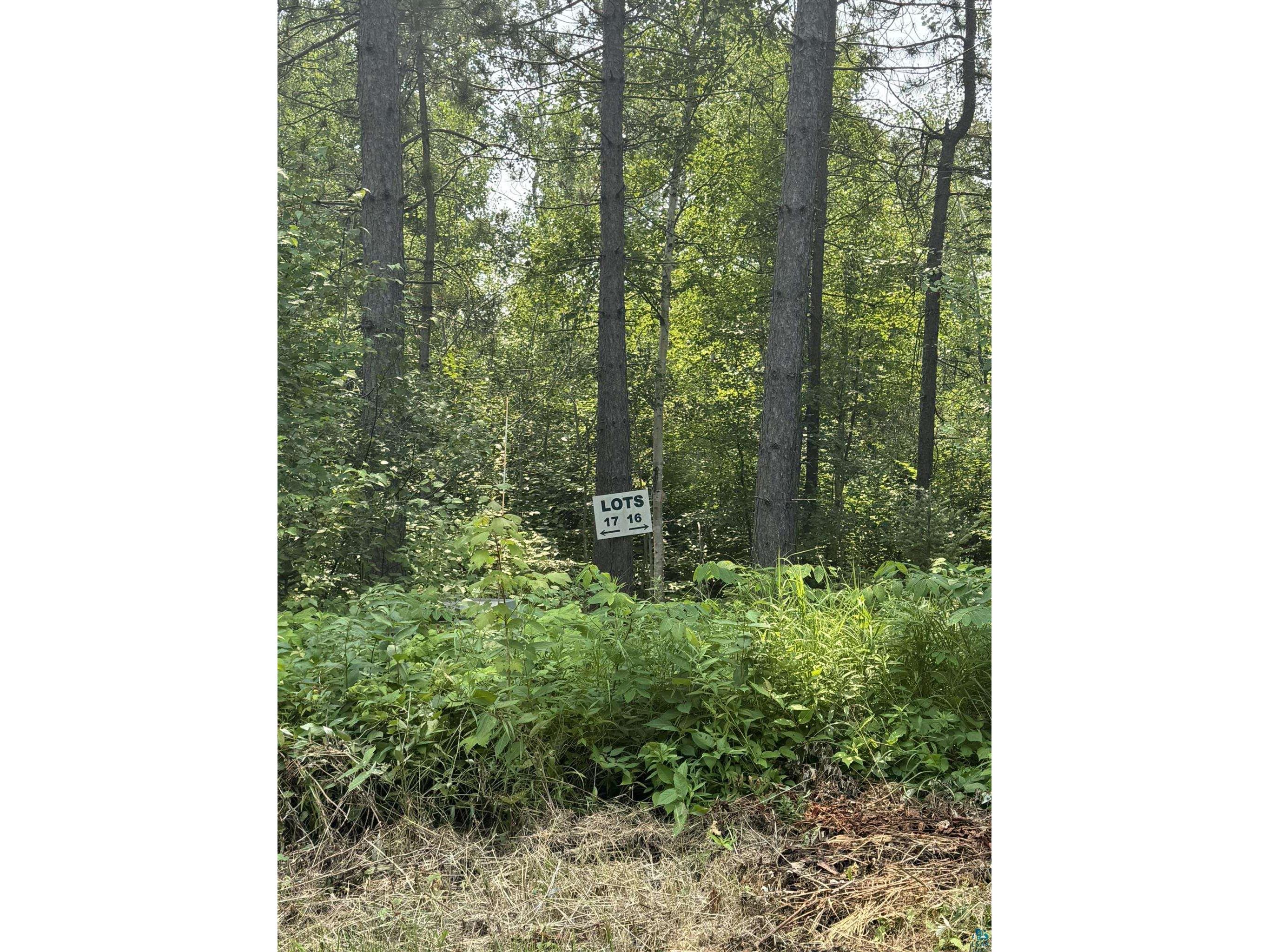 XX High Ridge Dr Schroeder MN 55614 6125498 image22