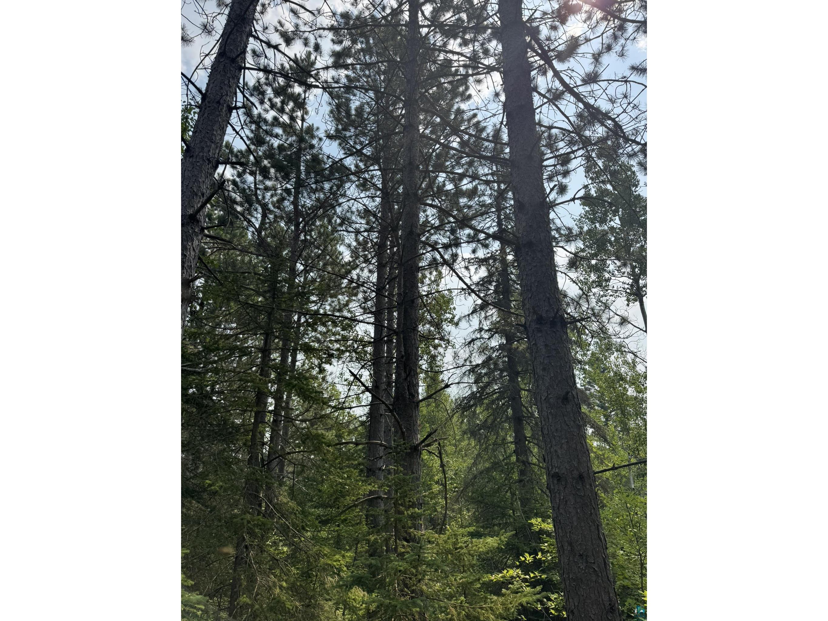 XX High Ridge Dr Schroeder MN 55614 6125498 image24