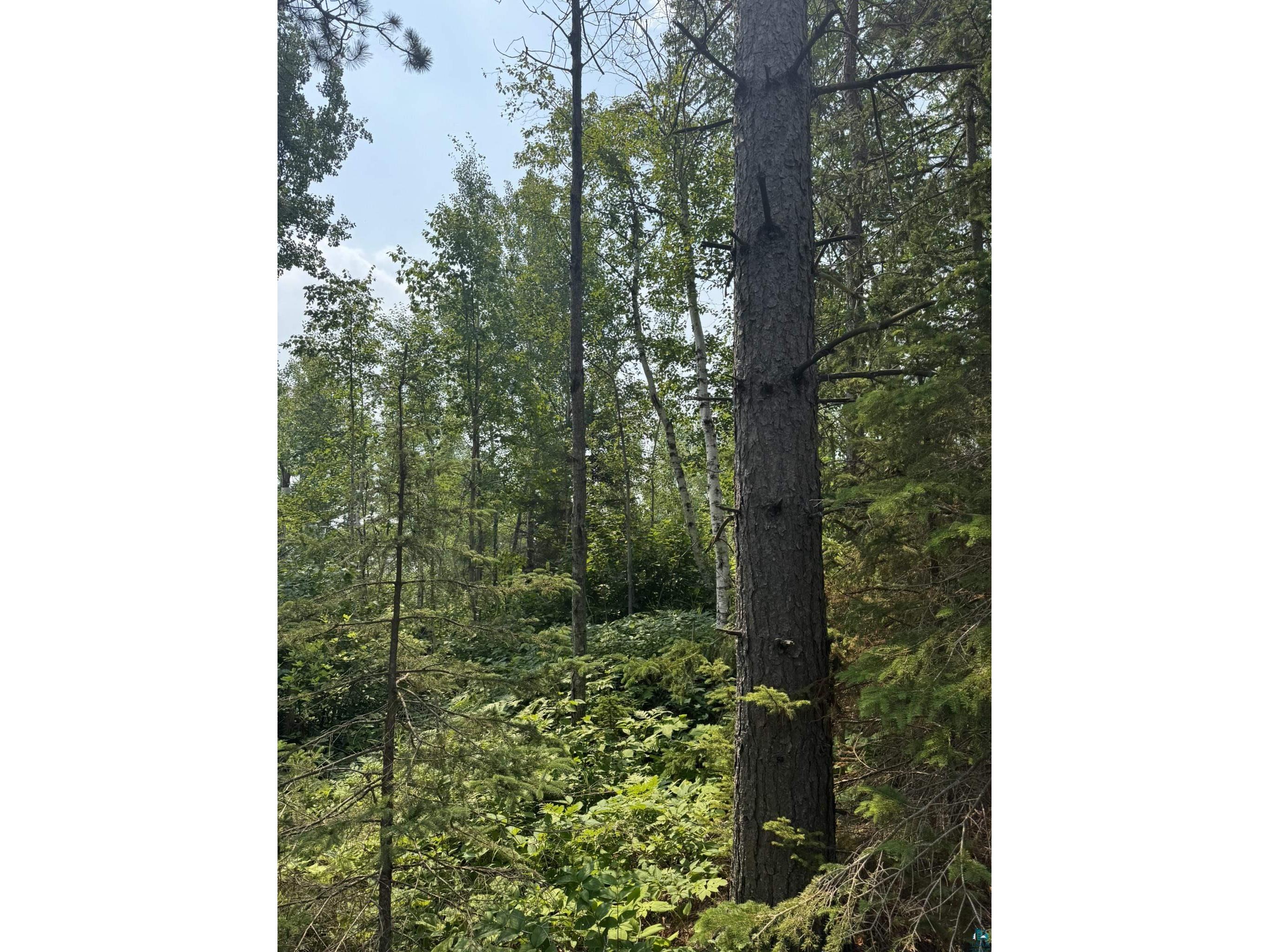 XX High Ridge Dr Schroeder MN 55614 6125498 image25