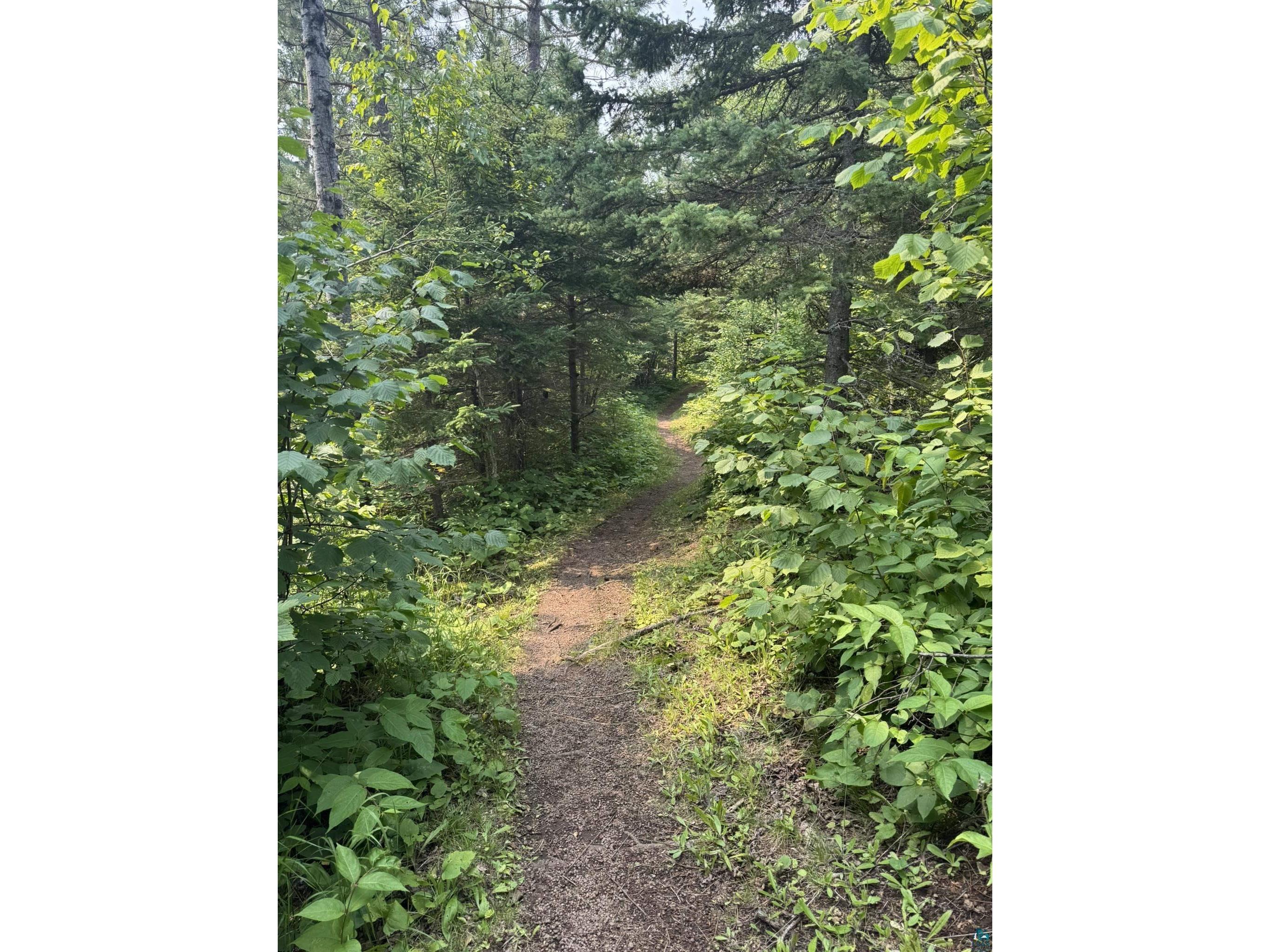 XX High Ridge Dr Schroeder MN 55614 6125498 image26