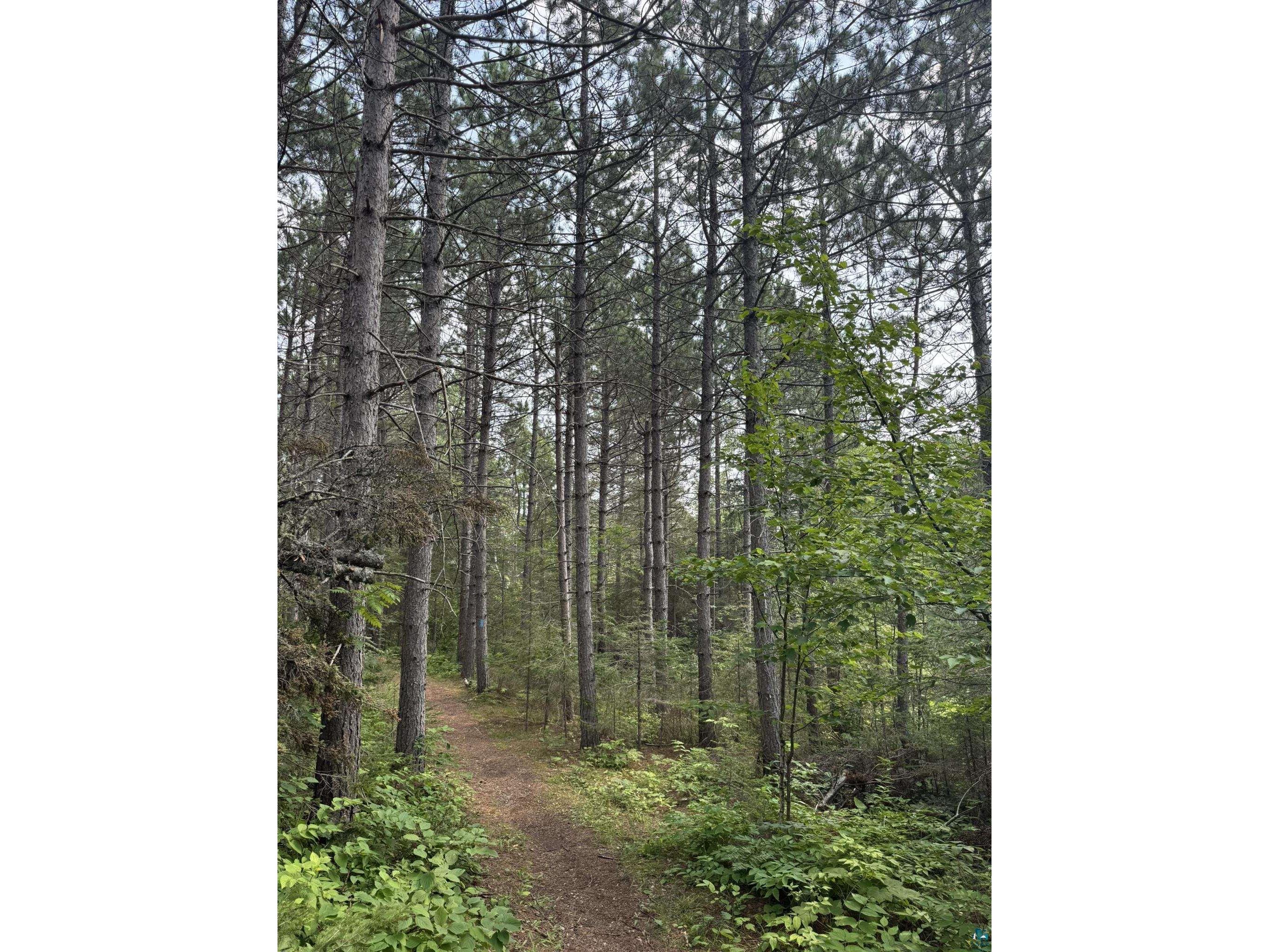XX High Ridge Dr Schroeder MN 55614 6125498 image29