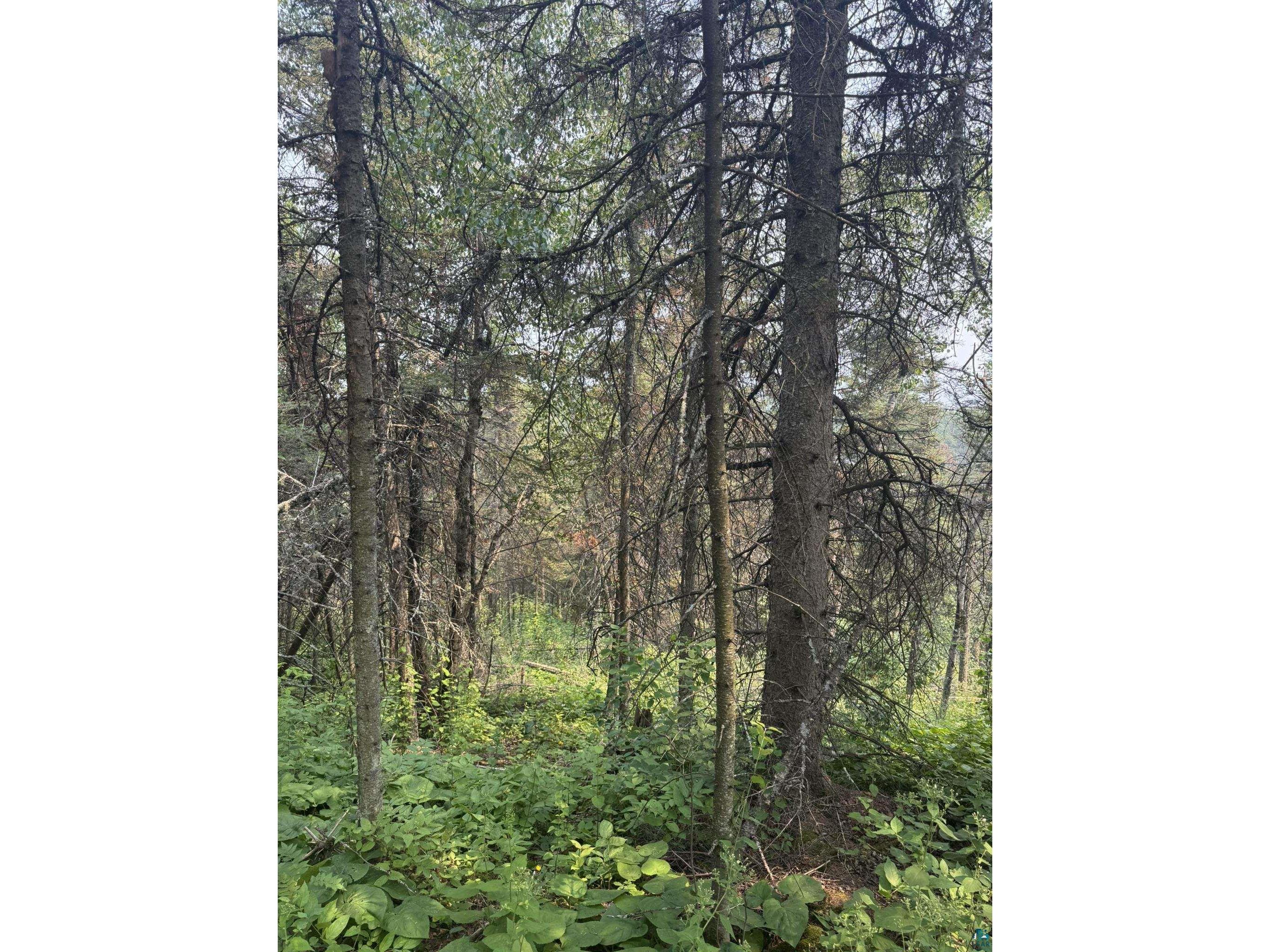 XX High Ridge Dr Schroeder MN 55614 6125498 image7