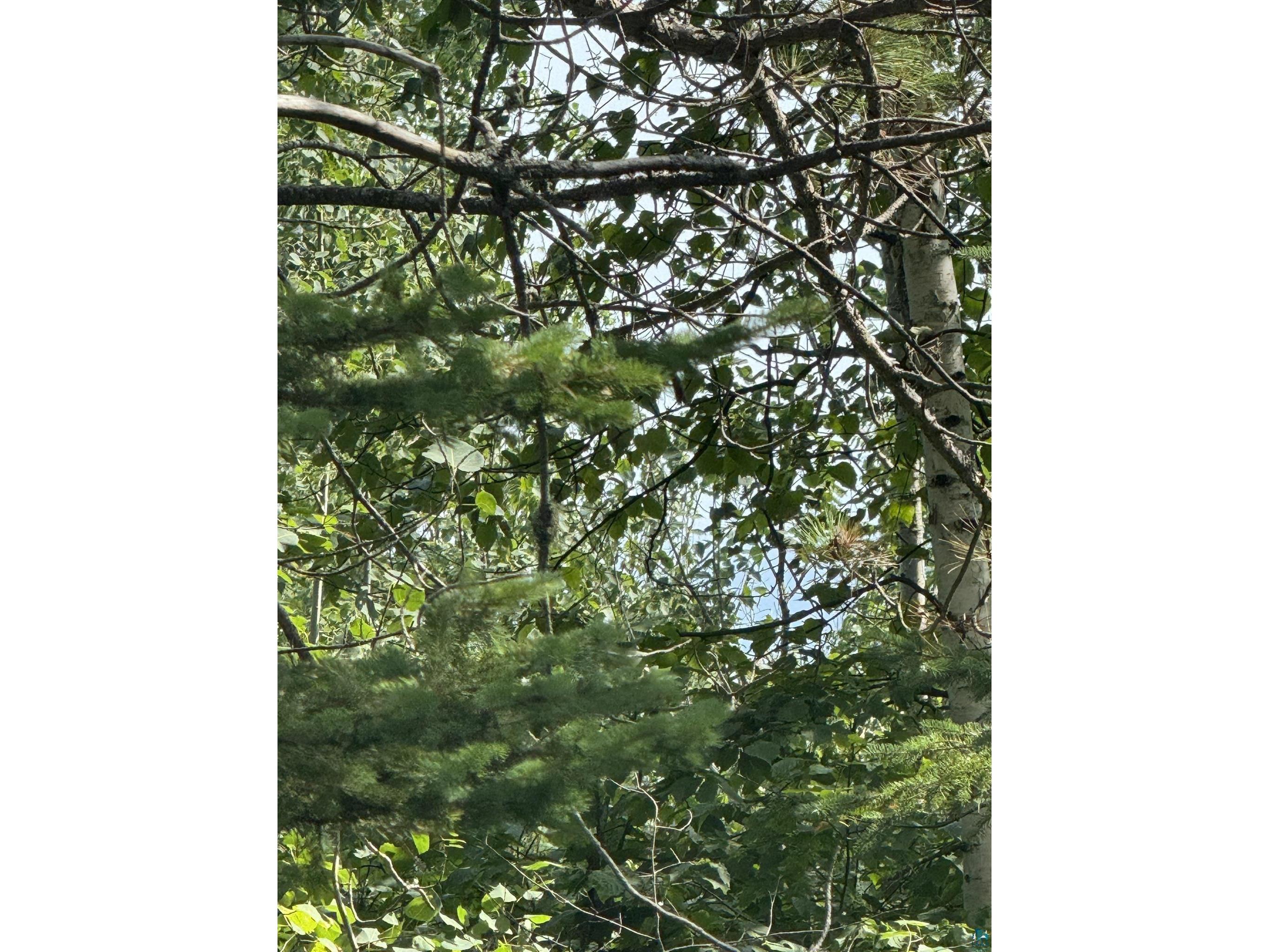 XX High Ridge Dr Schroeder MN 55614 6125498 image9