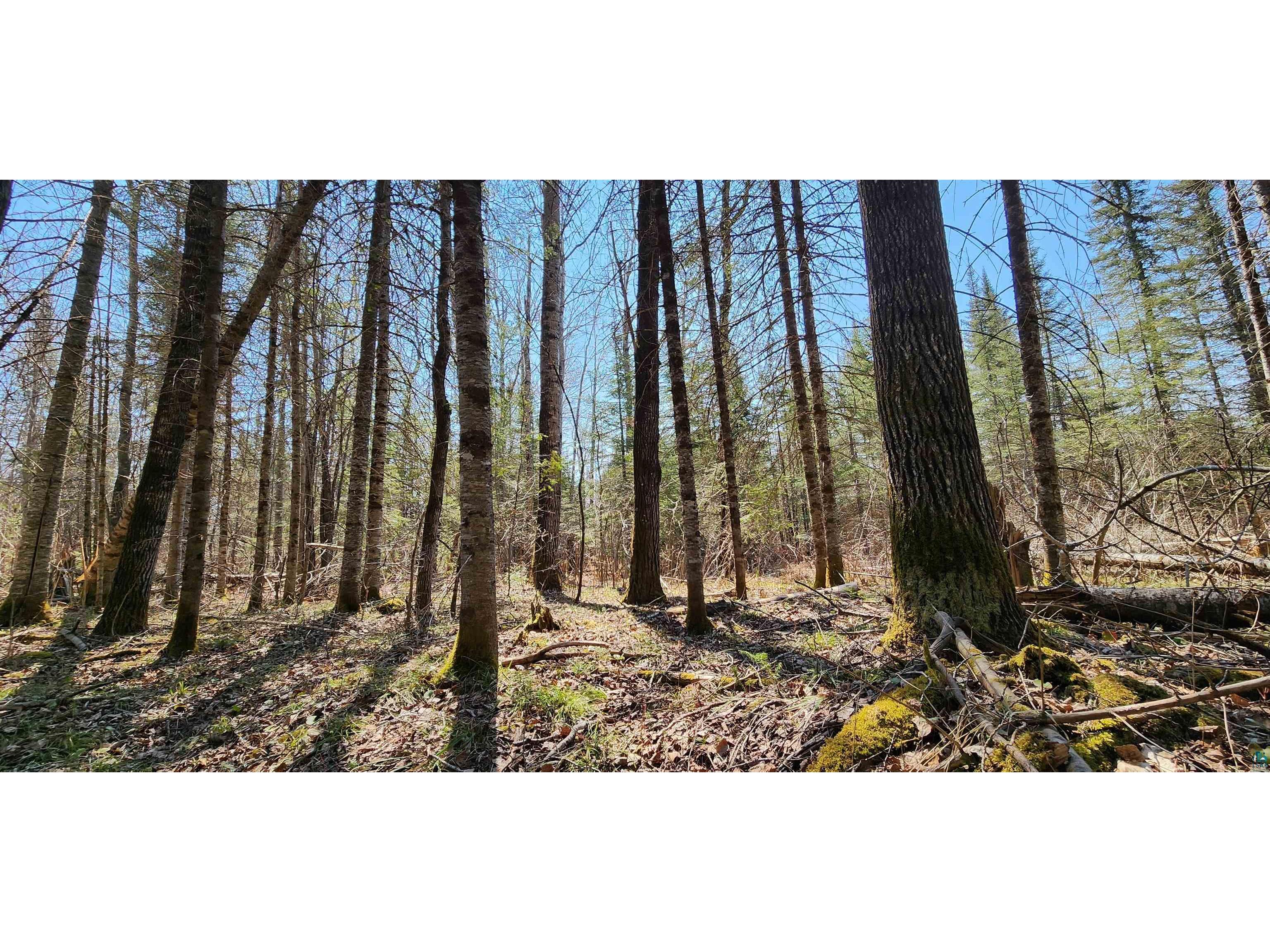 XX Honeymoon Tr Lutsen MN 55612 6113922 image1