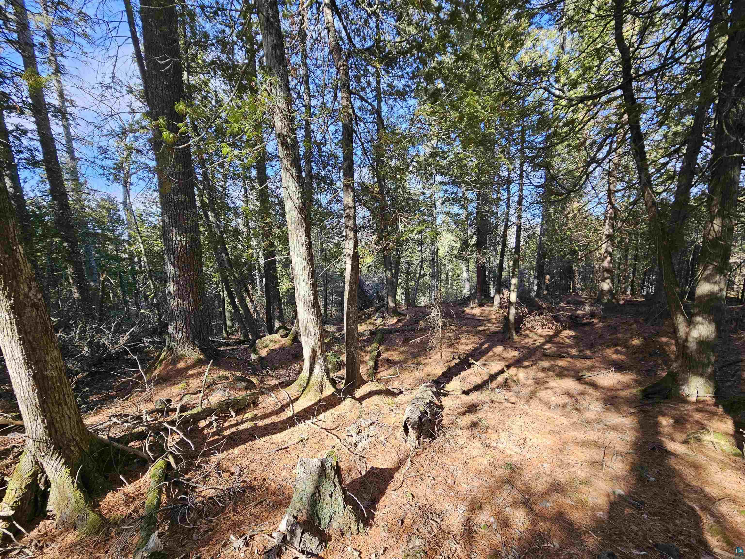 XX Hwy 3 Two Harbors MN 55616 6112616 image1