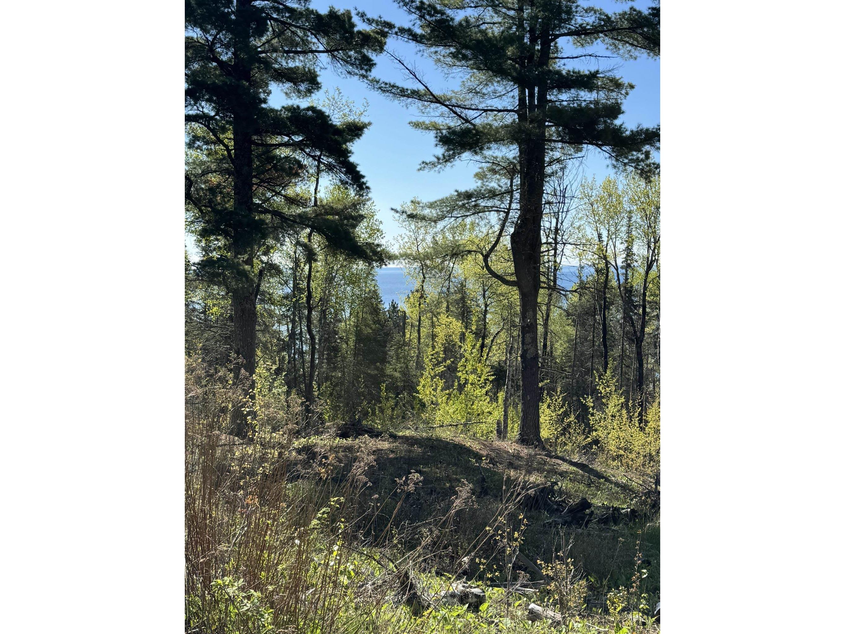 XX Lakeview Dr Two Harbors MN 55616 6119532 image1