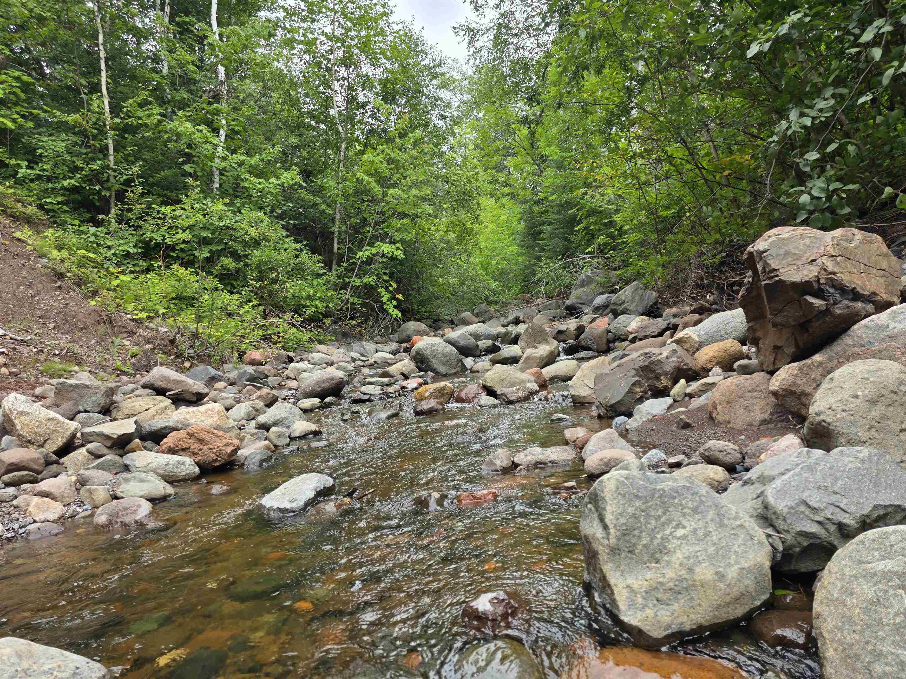 XX Mountain Home Tr Little Marais MN 55614 - Little Marais River 6121507 image1