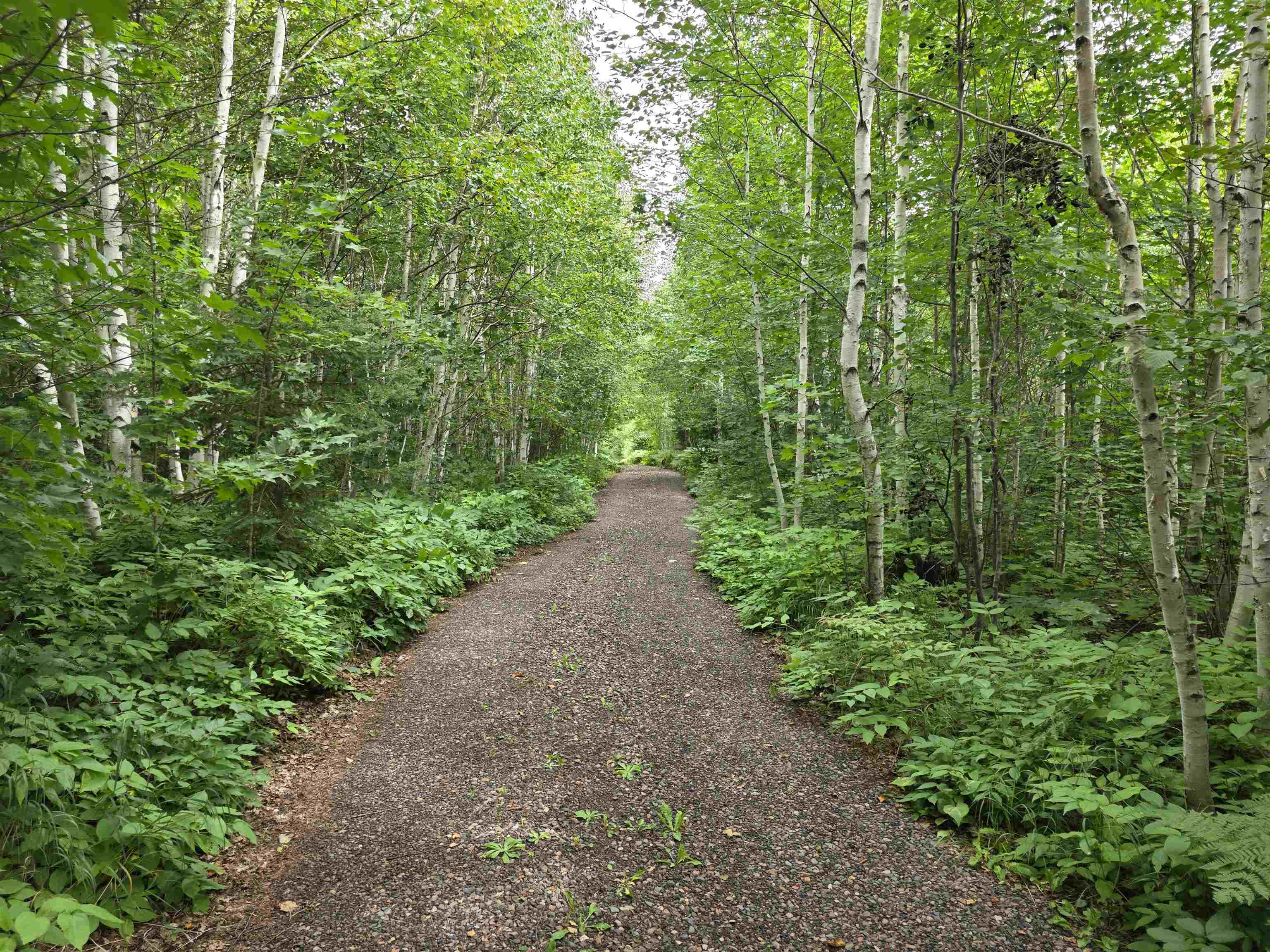 XX Mountain Home Tr Little Marais MN 55614 - Little Marais River 6121507 image2