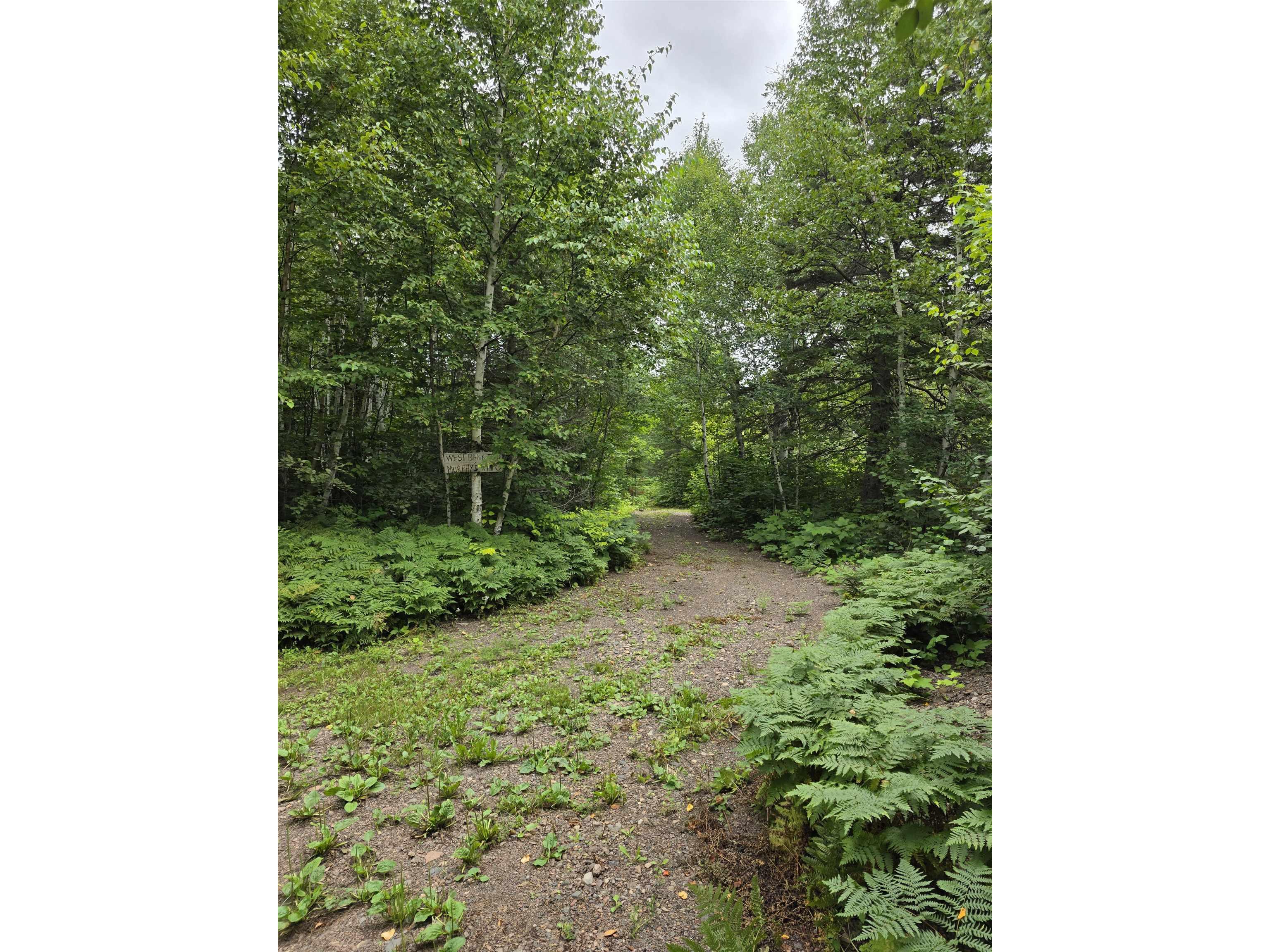 XX Mountain Home Tr Little Marais MN 55614 - Little Marais River 6121507 image3