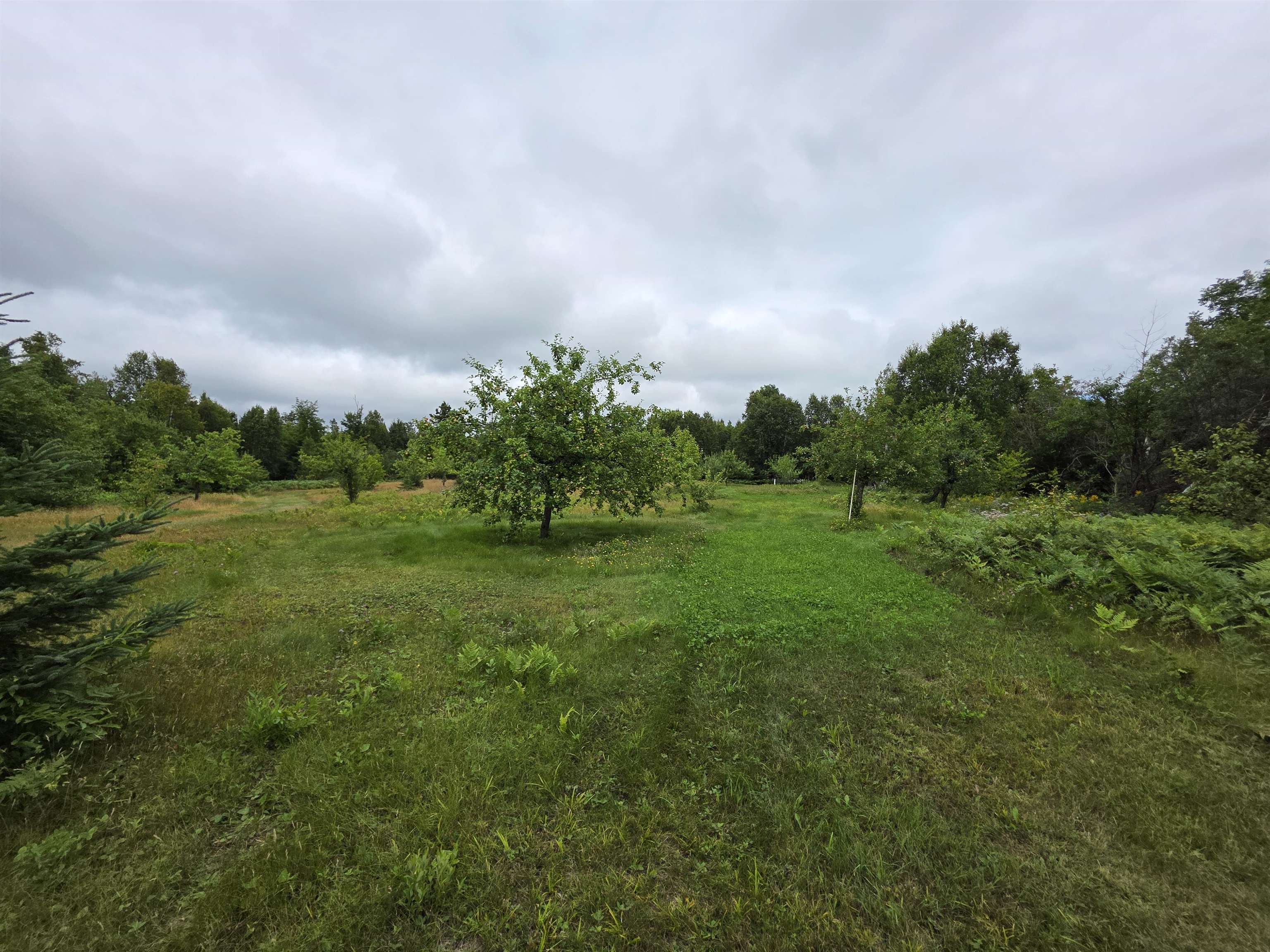 XX Mountain Home Tr Little Marais MN 55614 - Little Marais River 6121507 image5