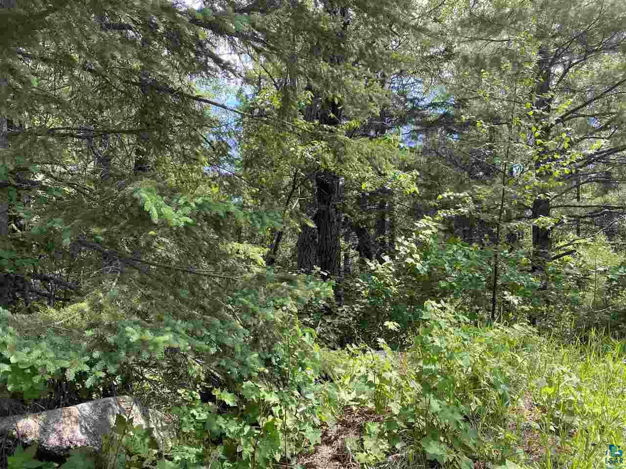 XX Pine Peak Rd Lutsen MN 55612 6098276 image1