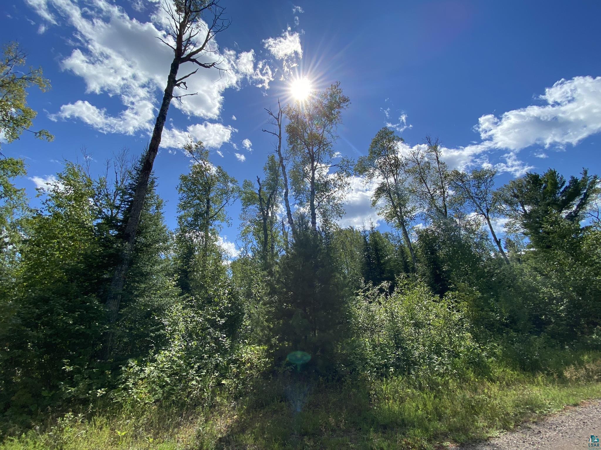XX Pine Peak Rd Lutsen MN 55612 6106368 image1