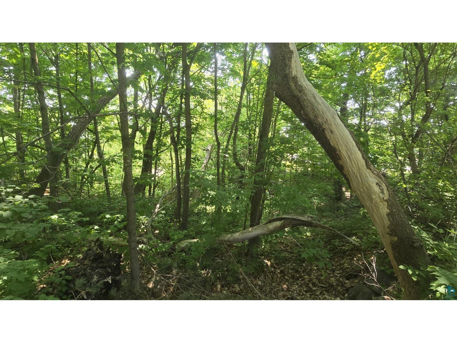 XX S 4th St Bayfield WI 54814 6120080 image1