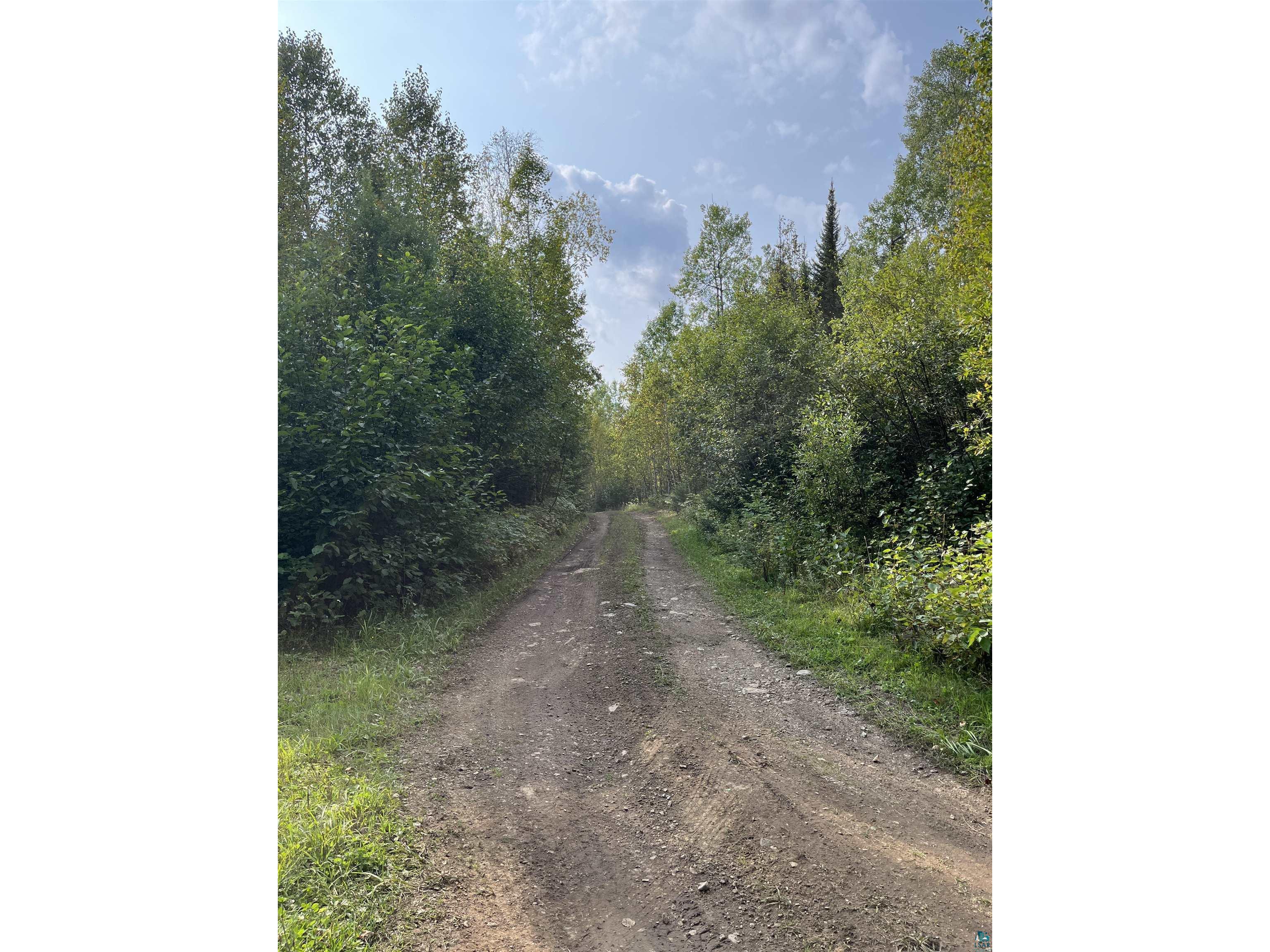 XX S Lost Lake Rd Hovland MN 55606 - Lost Lake 6124608 image1