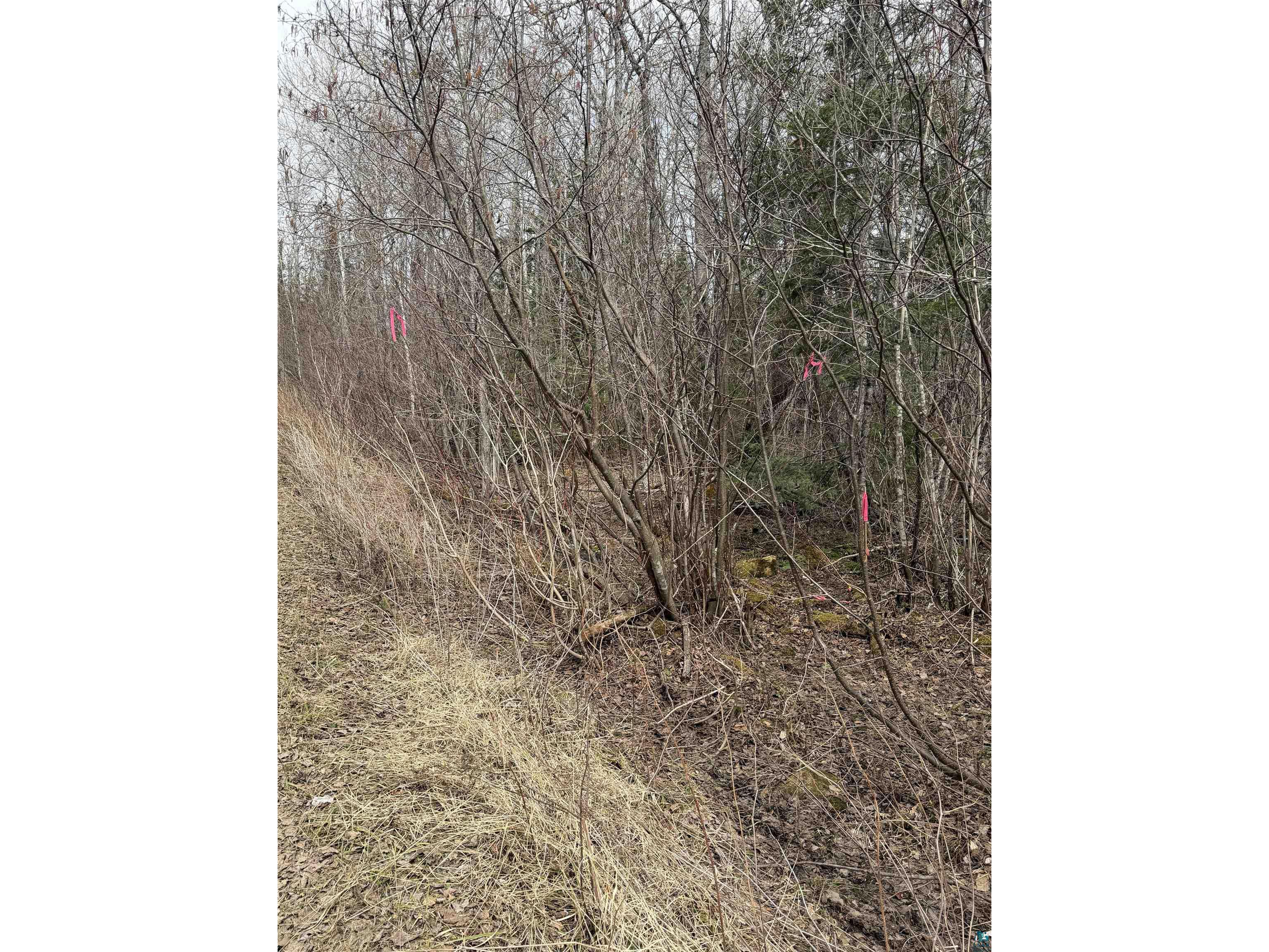 XX S Lost Lake Rd Hovland MN 55606 - Lost Lake 6124608 image10