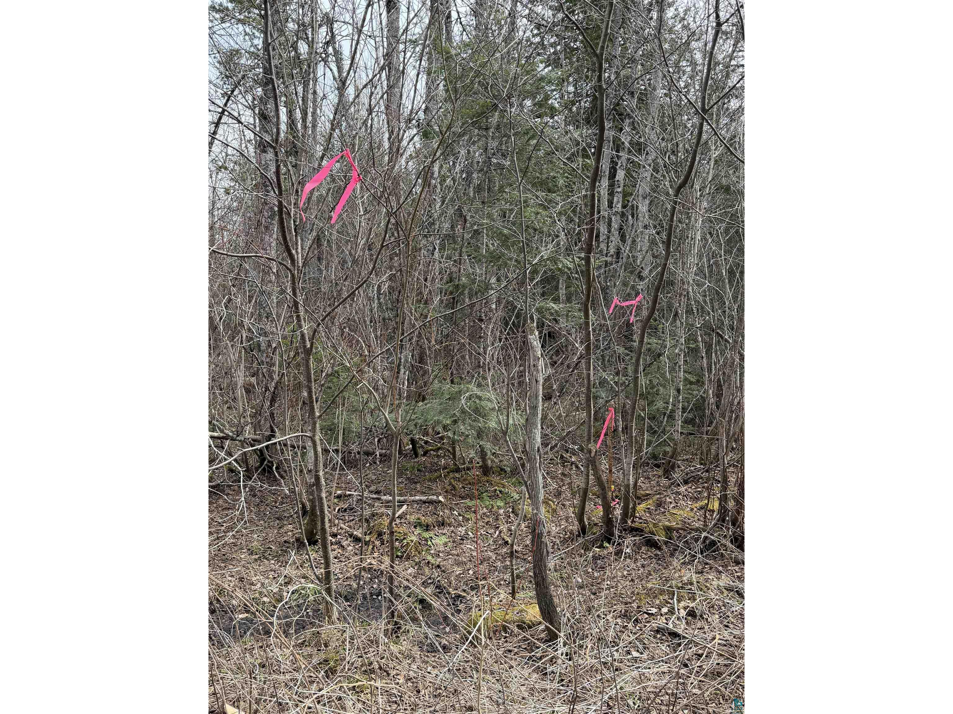 XX S Lost Lake Rd Hovland MN 55606 - Lost Lake 6124608 image11