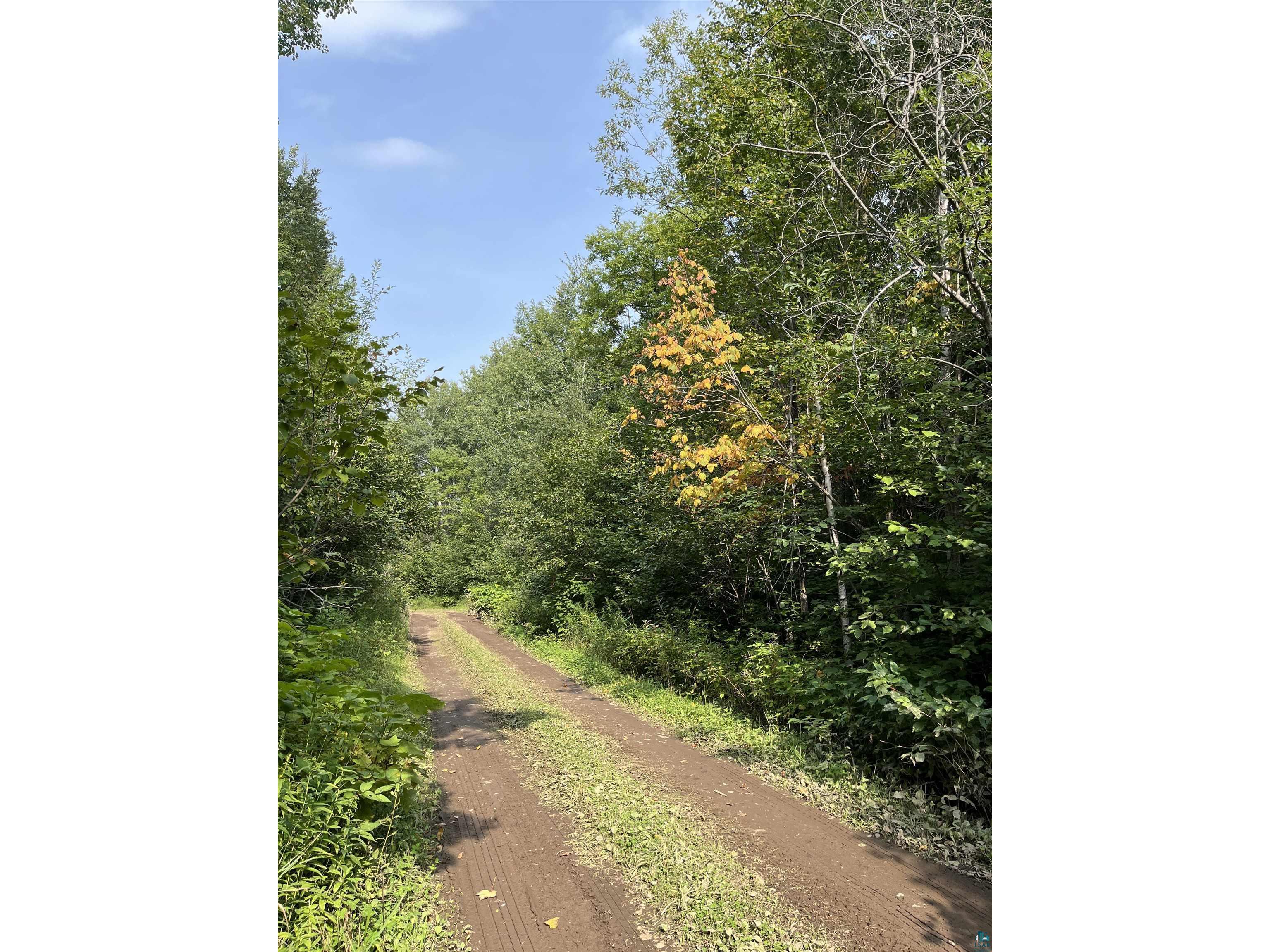 XX S Lost Lake Rd Hovland MN 55606 - Lost Lake 6124608 image2