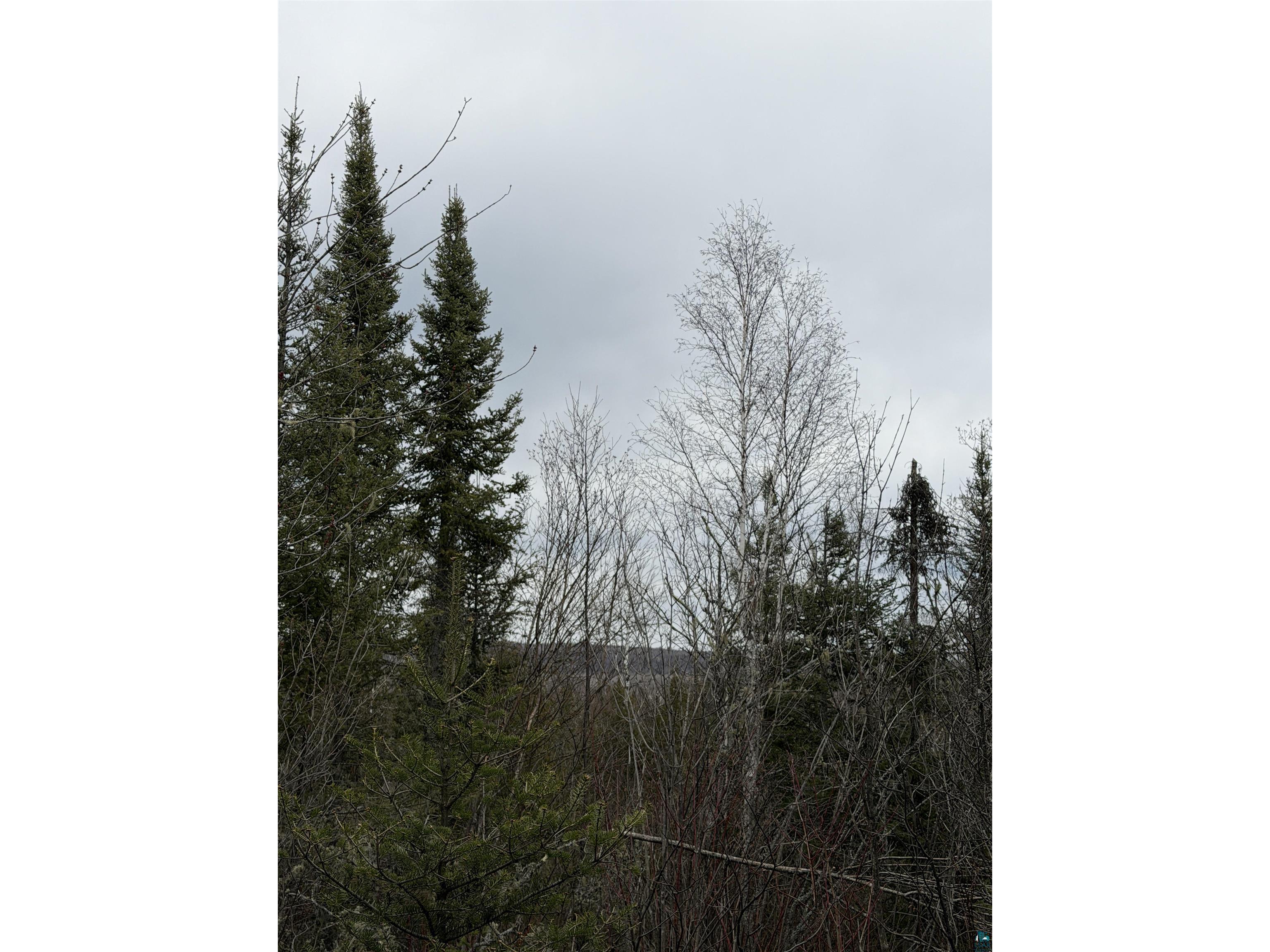 XX S Lost Lake Rd Hovland MN 55606 - Lost Lake 6124608 image3